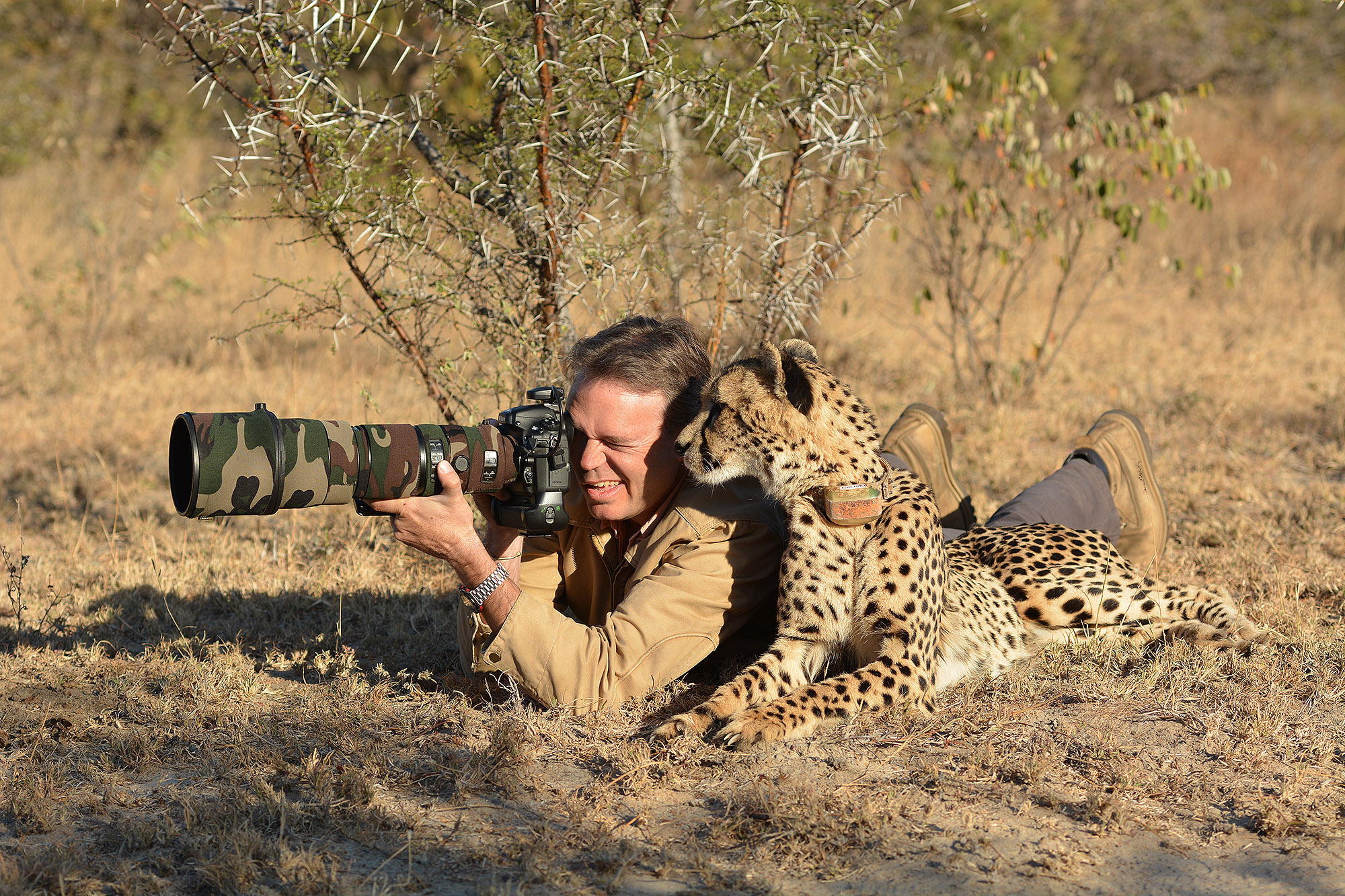 Photo safari with a cheetah...
