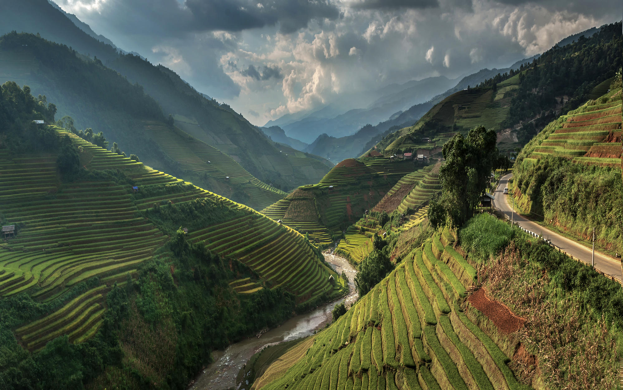Rice terraces (vietnam)
