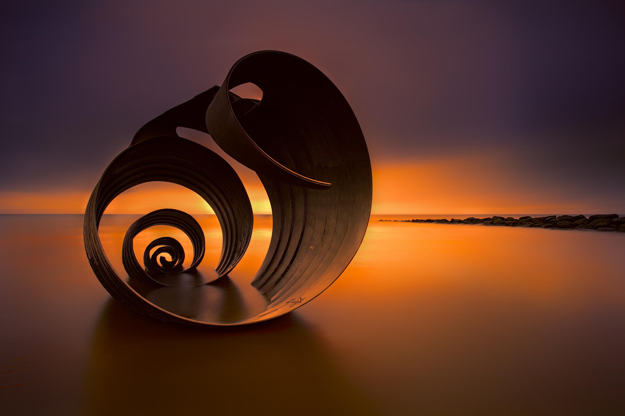 sunset and sea shell