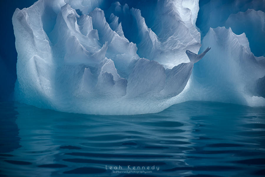 Portrait of an Iceberg
