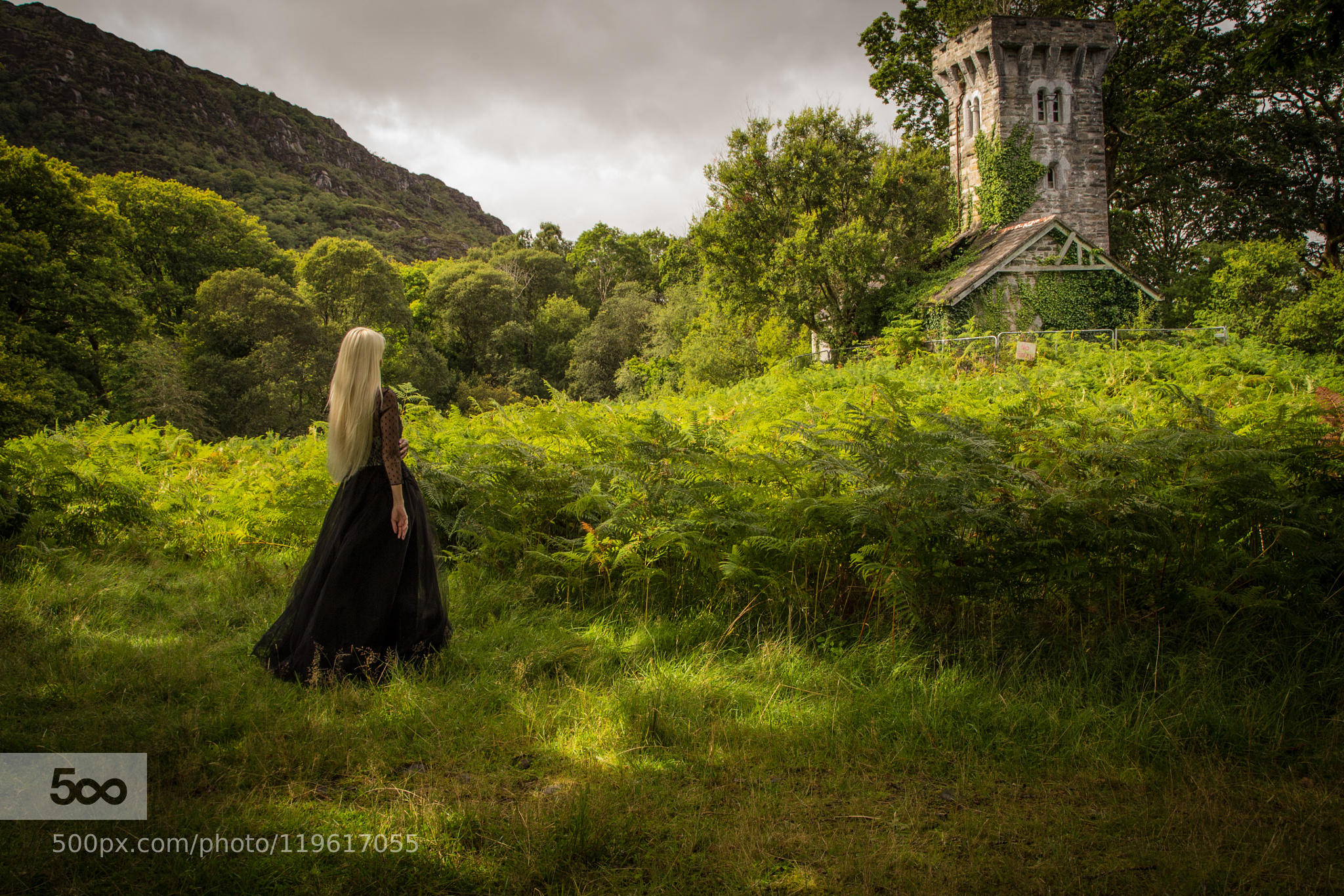 Gaelic Tales: Part I - The Kingdom