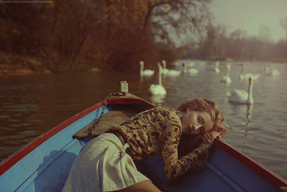 mathilda and the swans