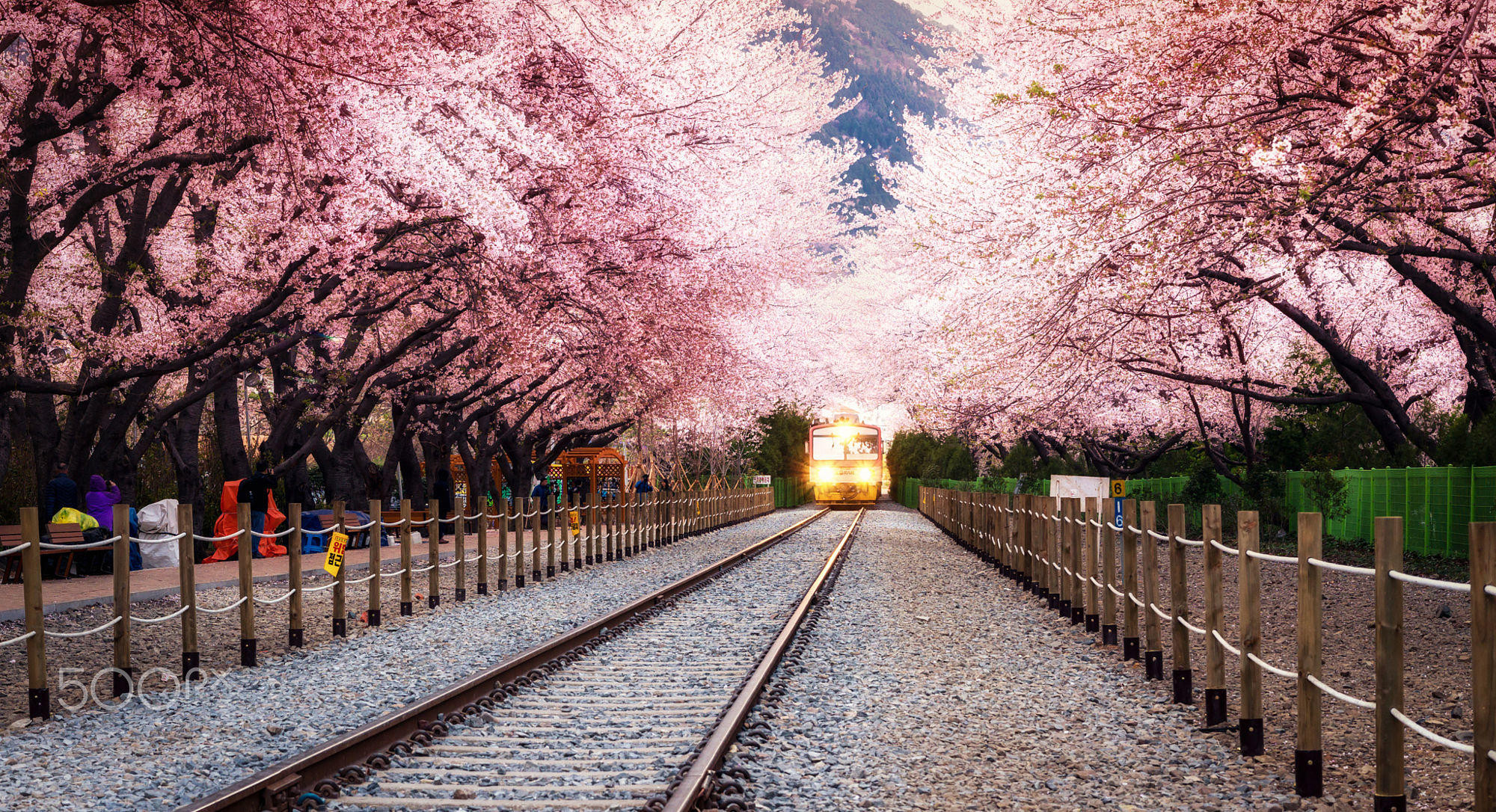 spring blossom station
