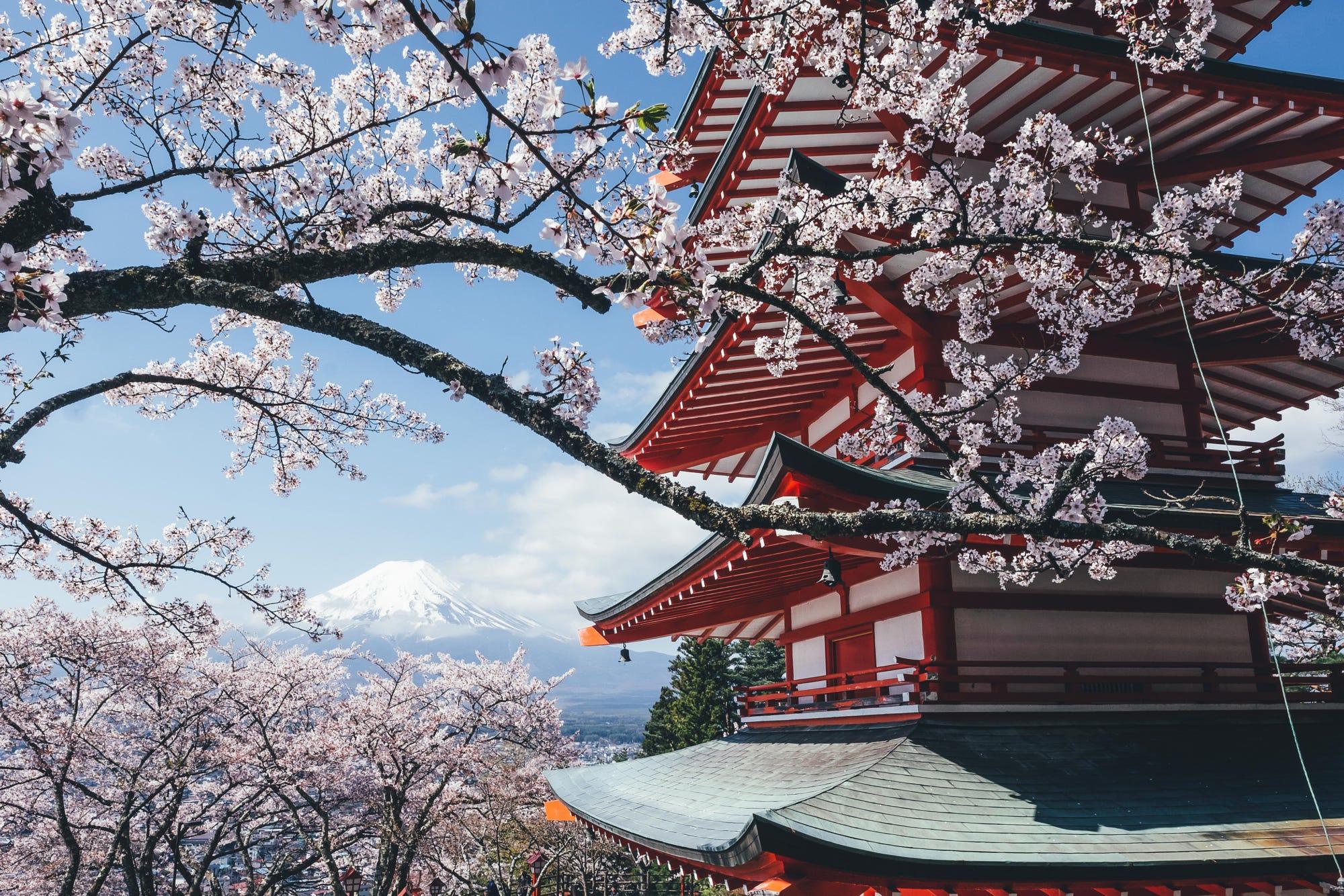 Mt.Fuji with Sakura