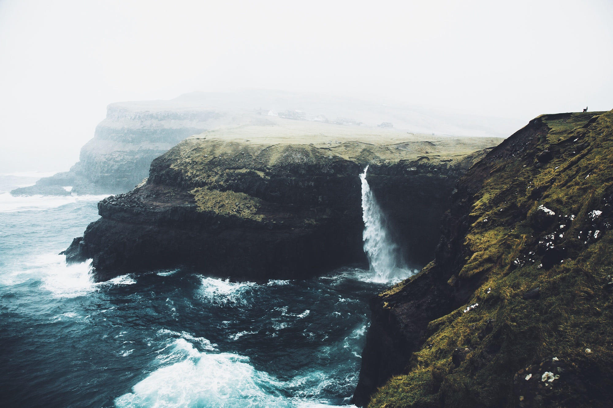 Wild Faroes