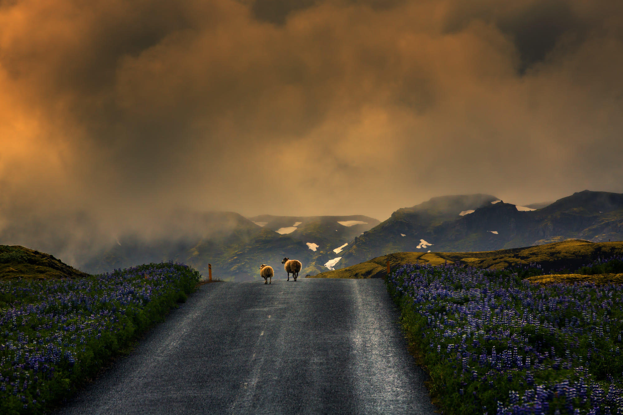 Icelandic Horizon