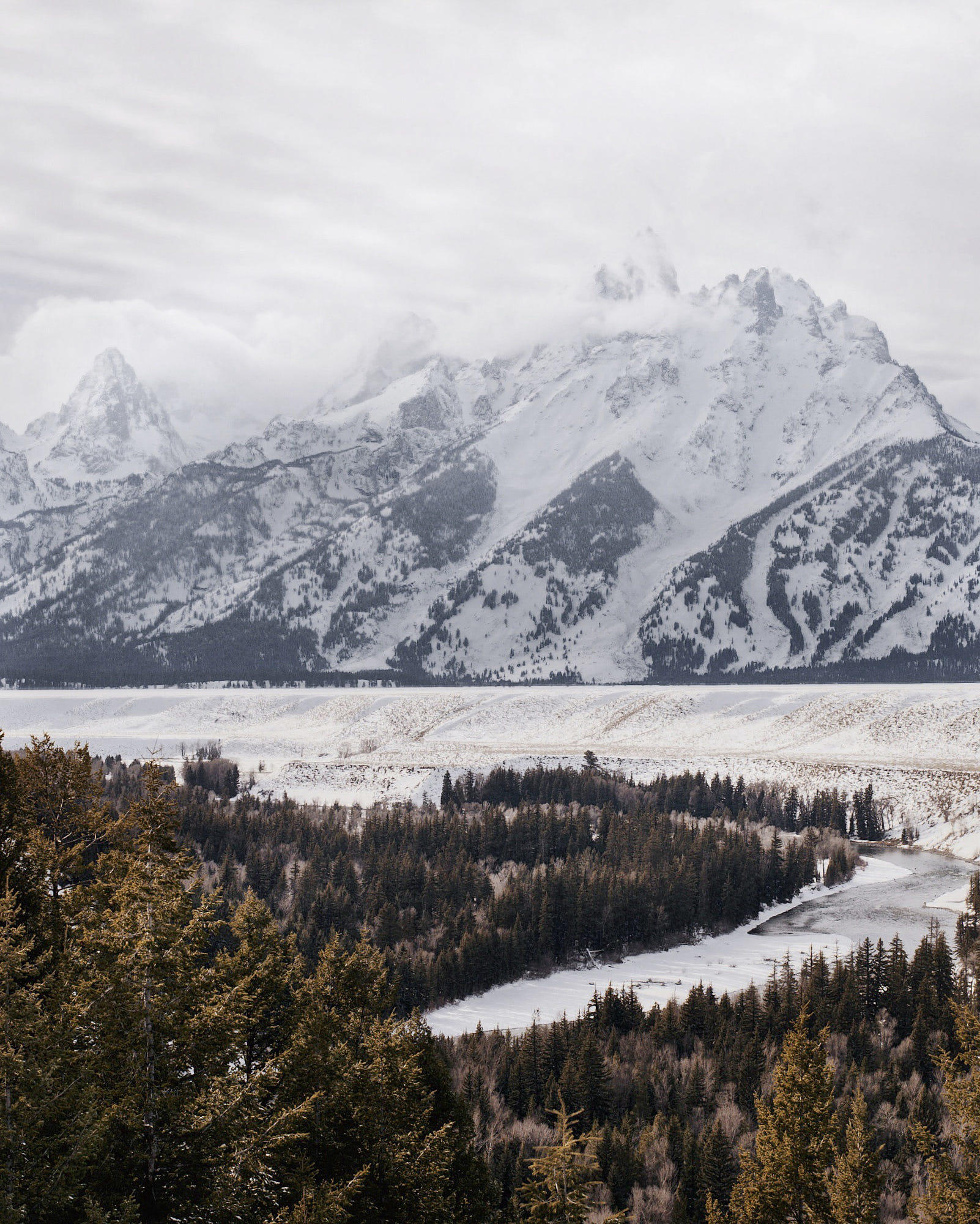 snake river overlook. grand tetons. wyoming. The s ...
