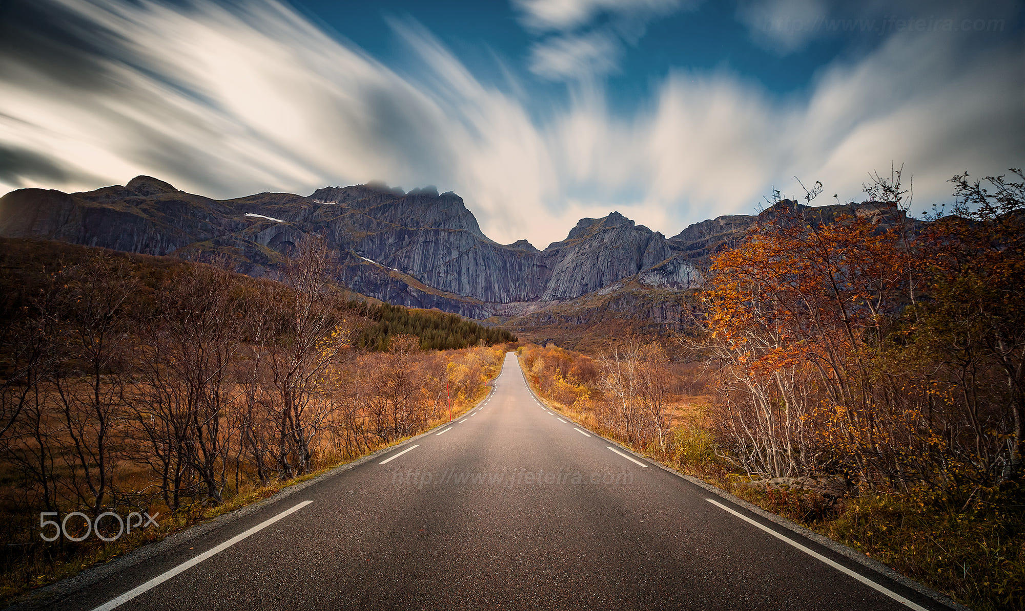 The autumn road