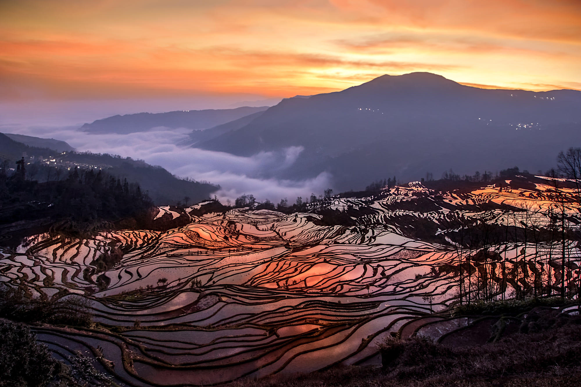 Terraced Rice Fields at Sunset