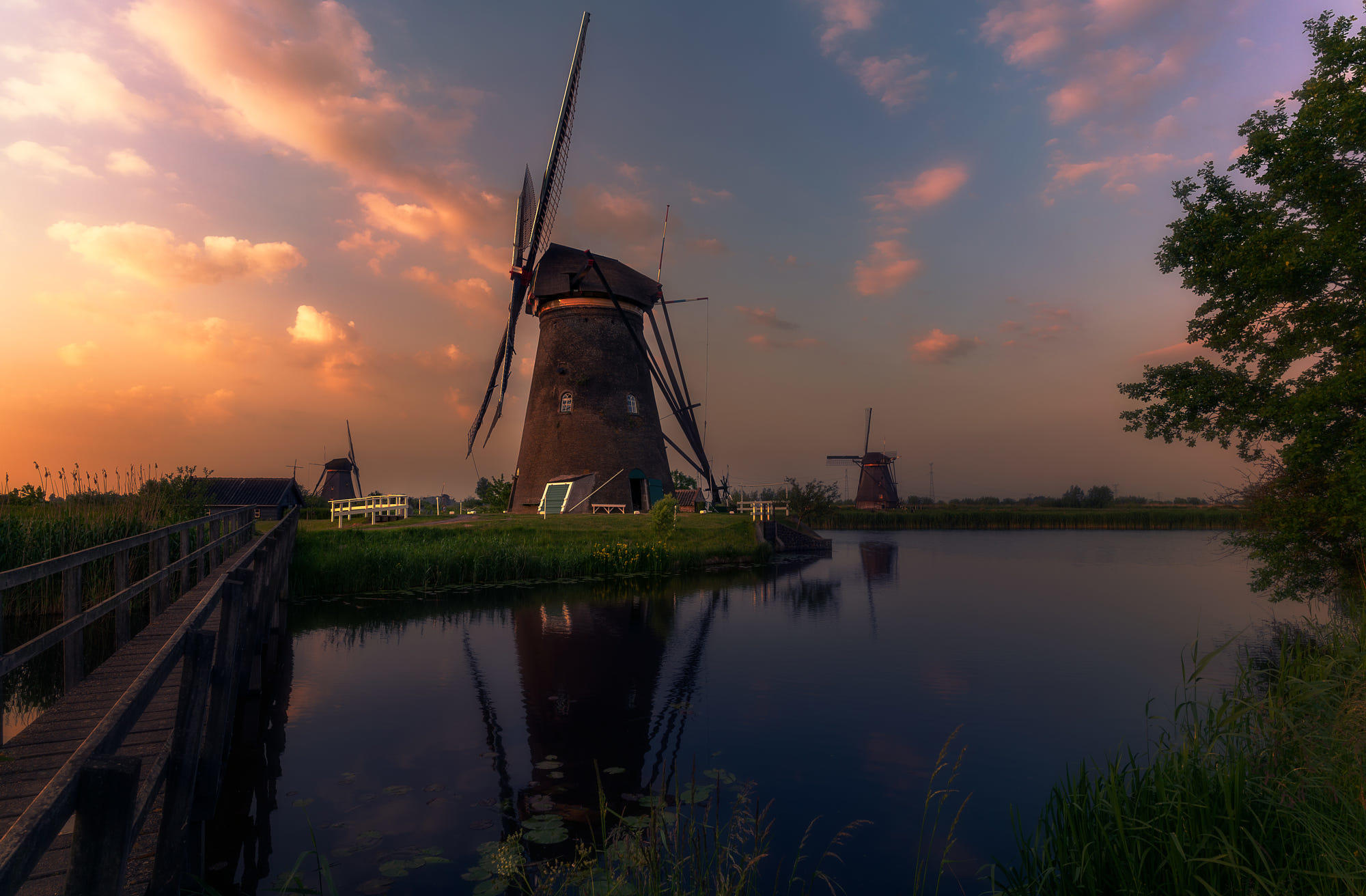 The Netherlands ...