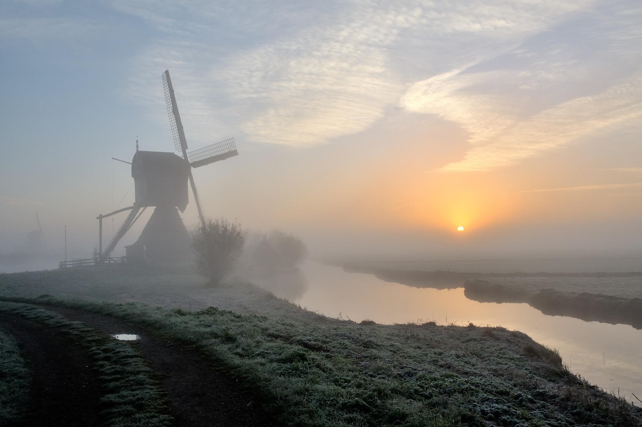 Foggy Sunrise at Kinderdijk