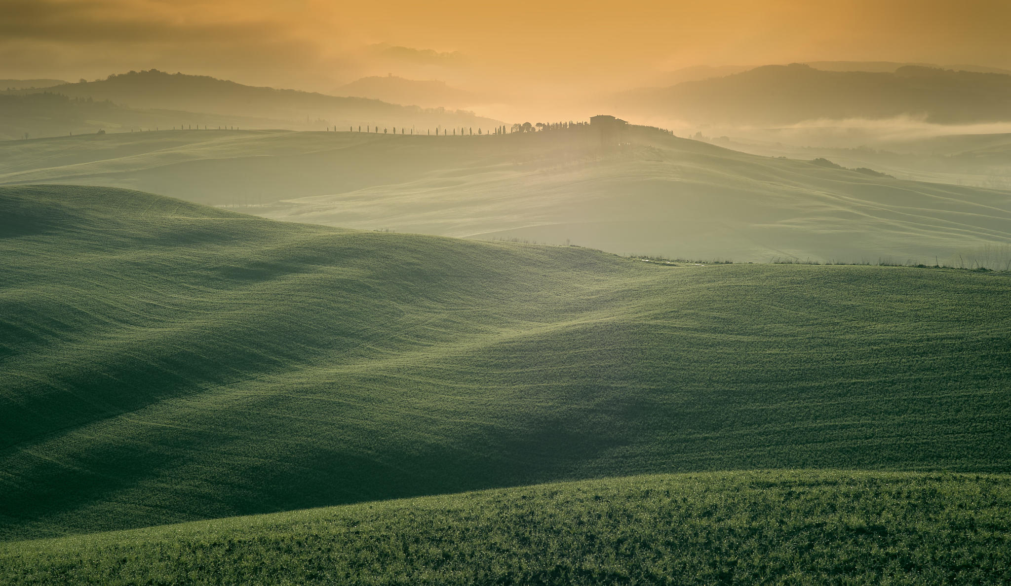 The rolling hills of Val D'Orcia at dawn