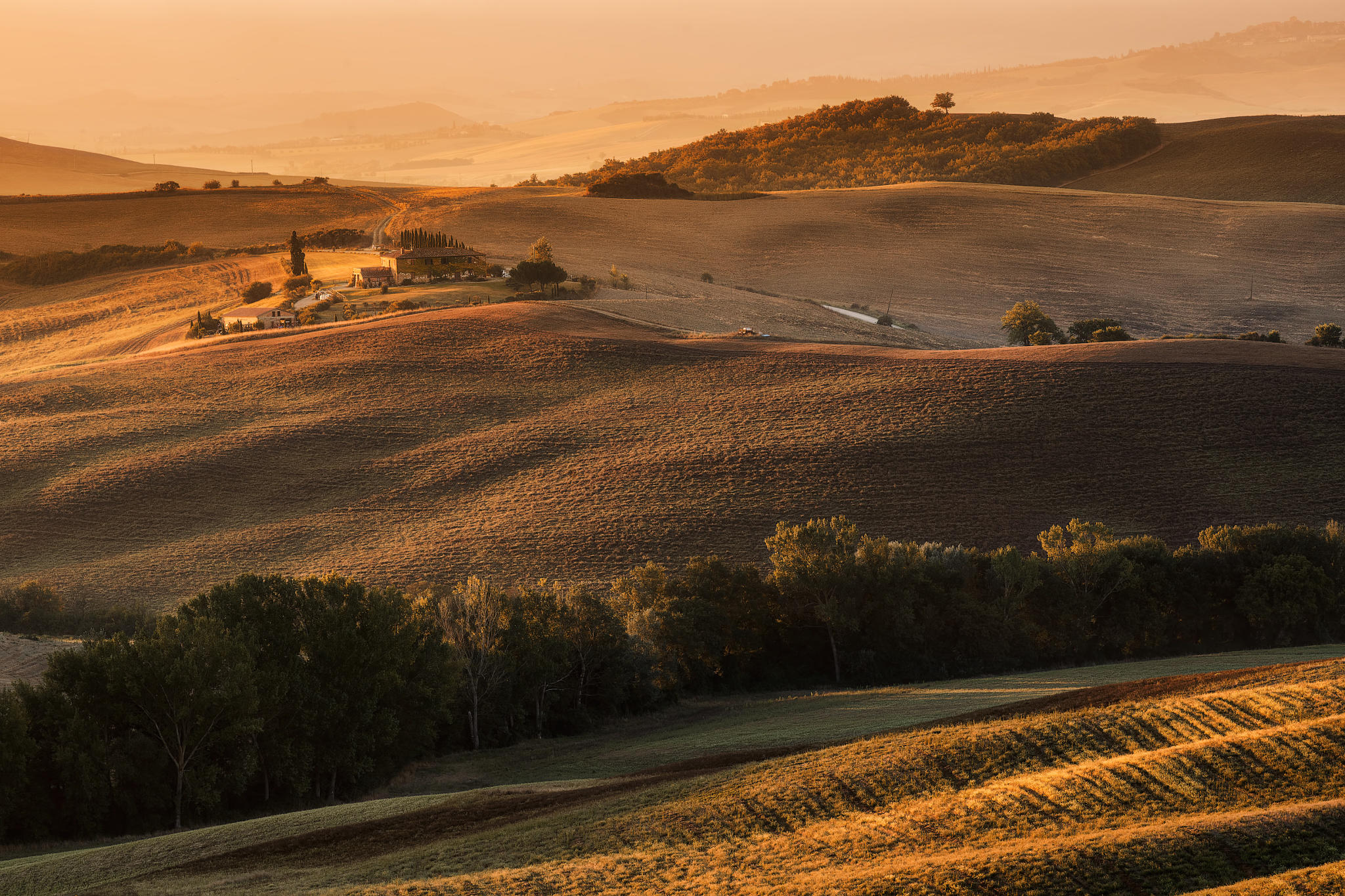 Warm dawn in Val d'Orcia