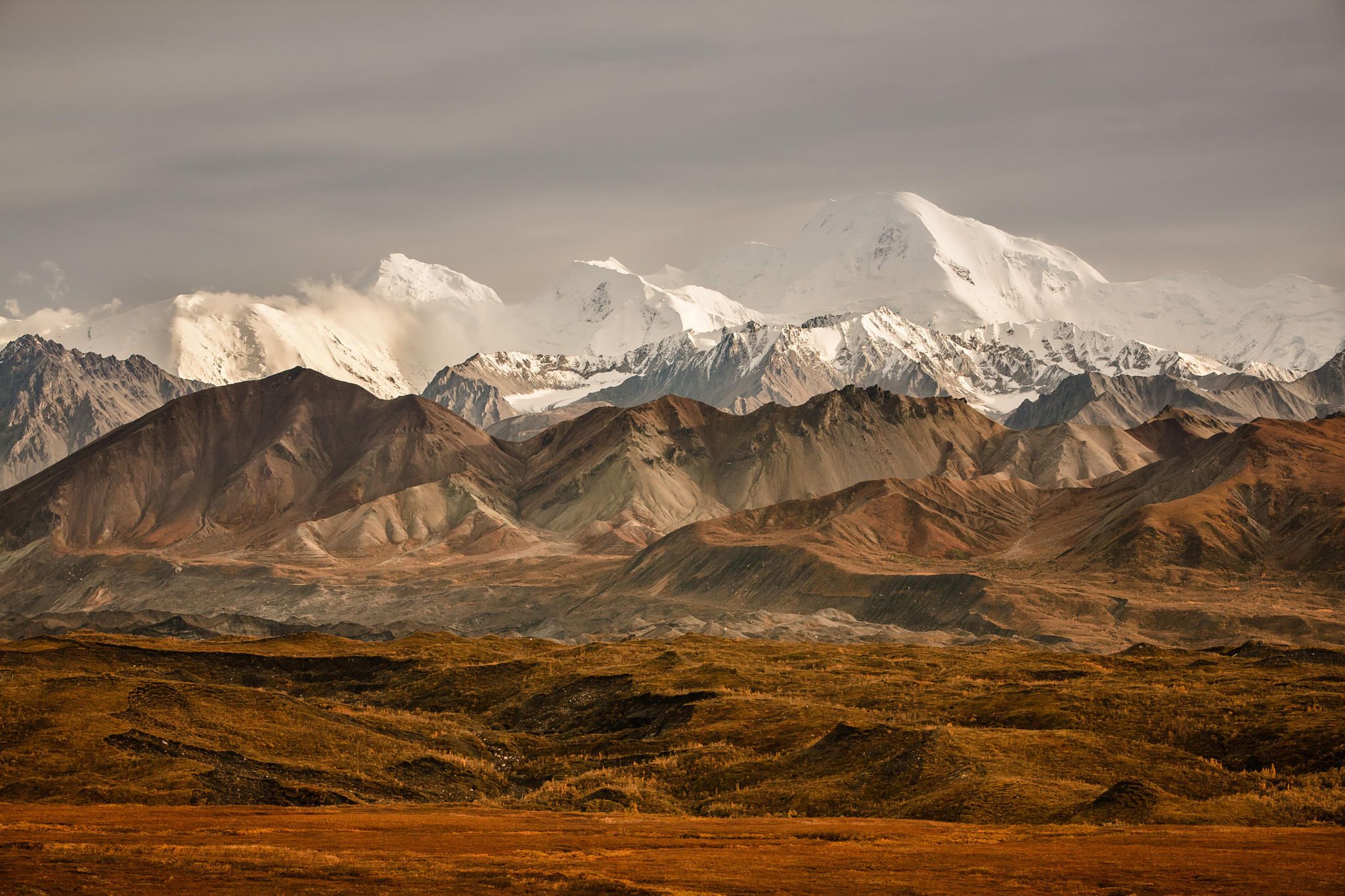 denali national park II