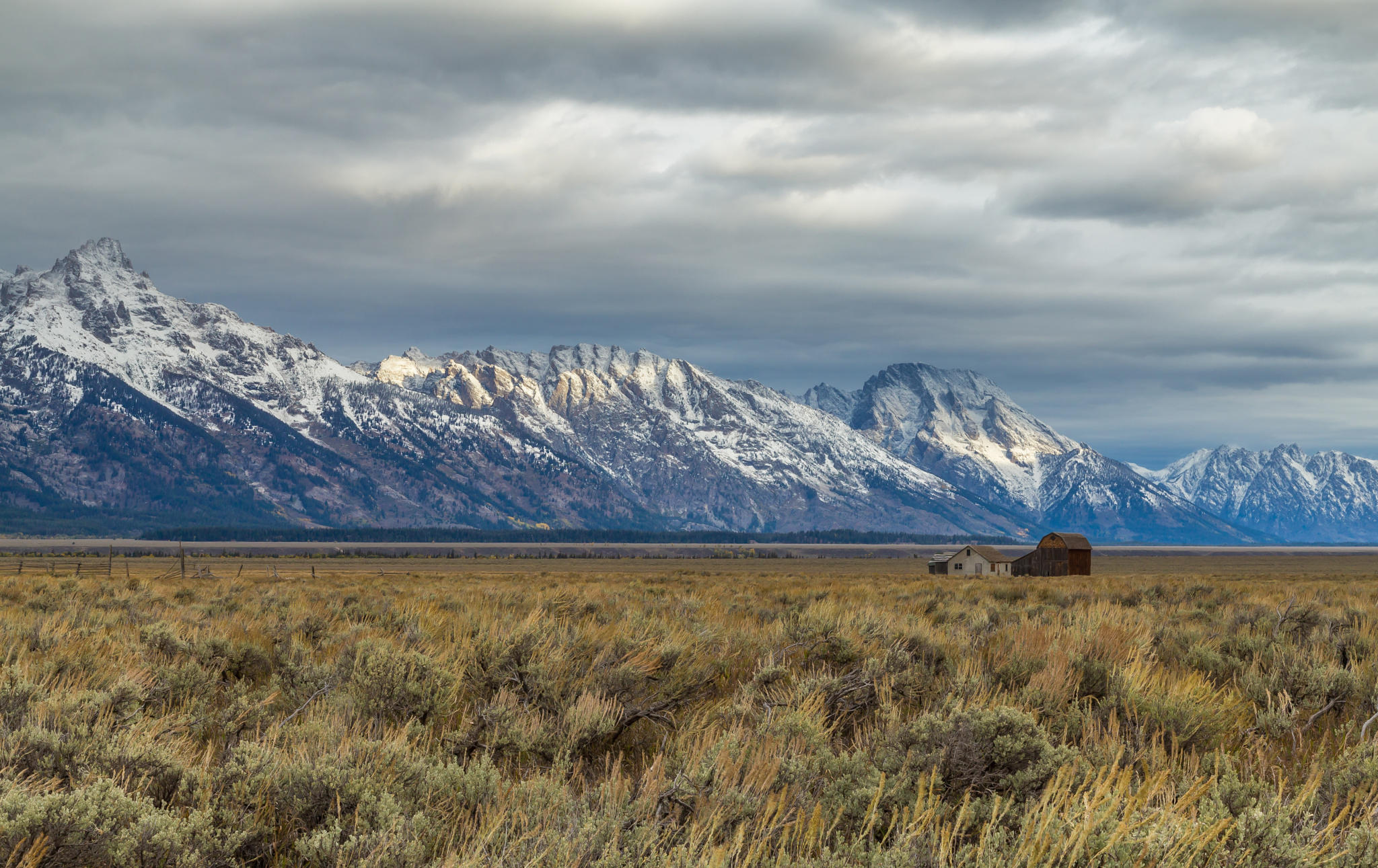 Teton Morning Grey