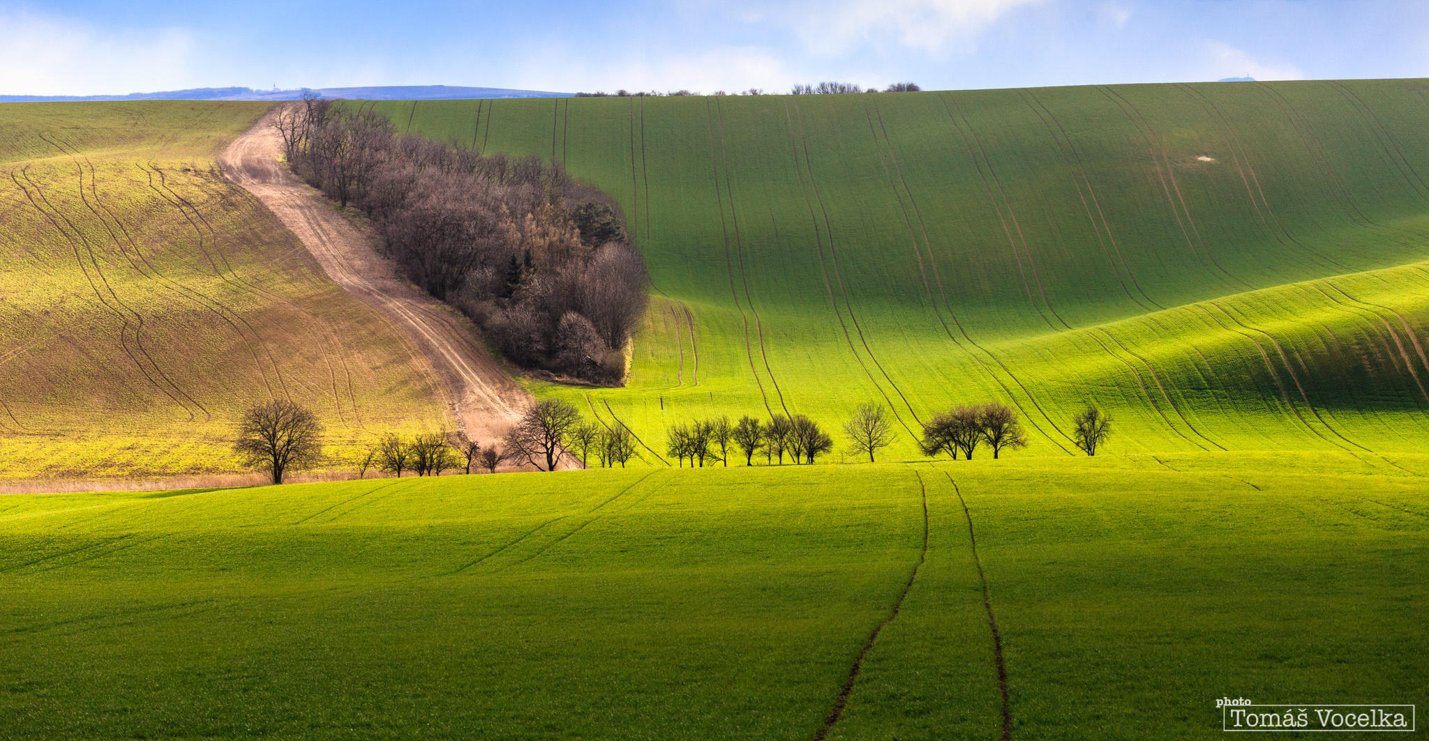 Early spring