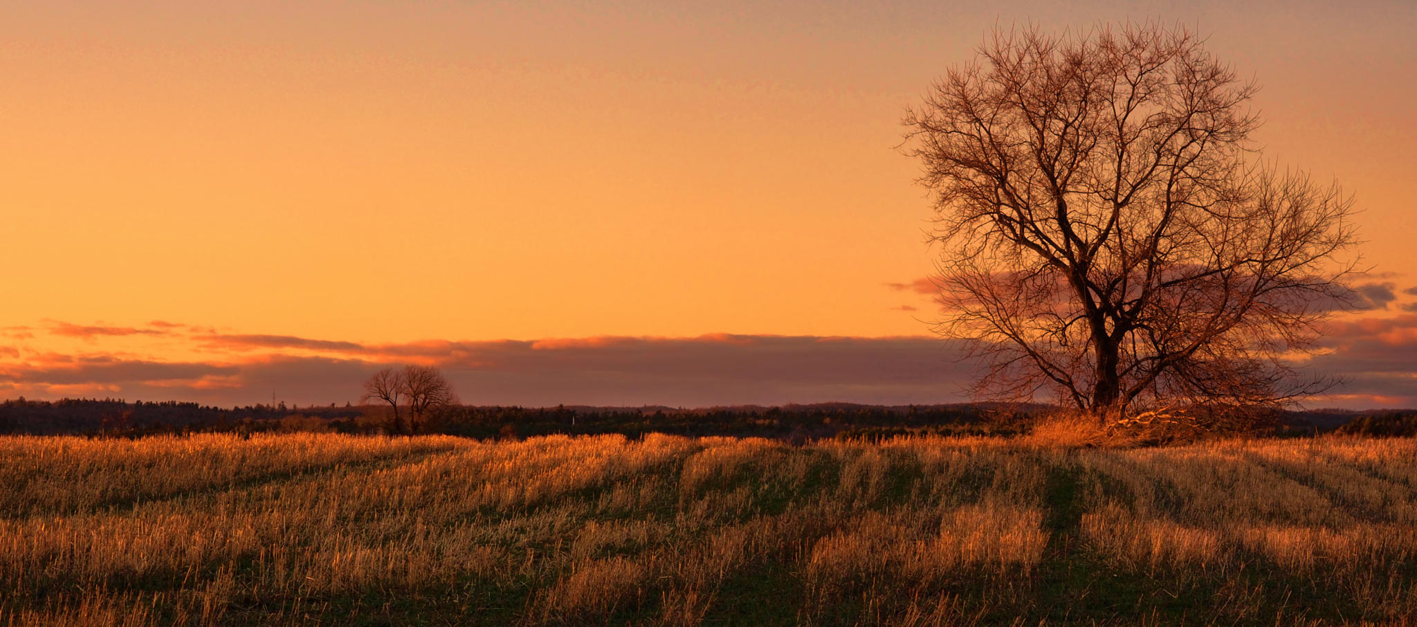 Happy Earth Day ❖ Bon Jour de la Terre