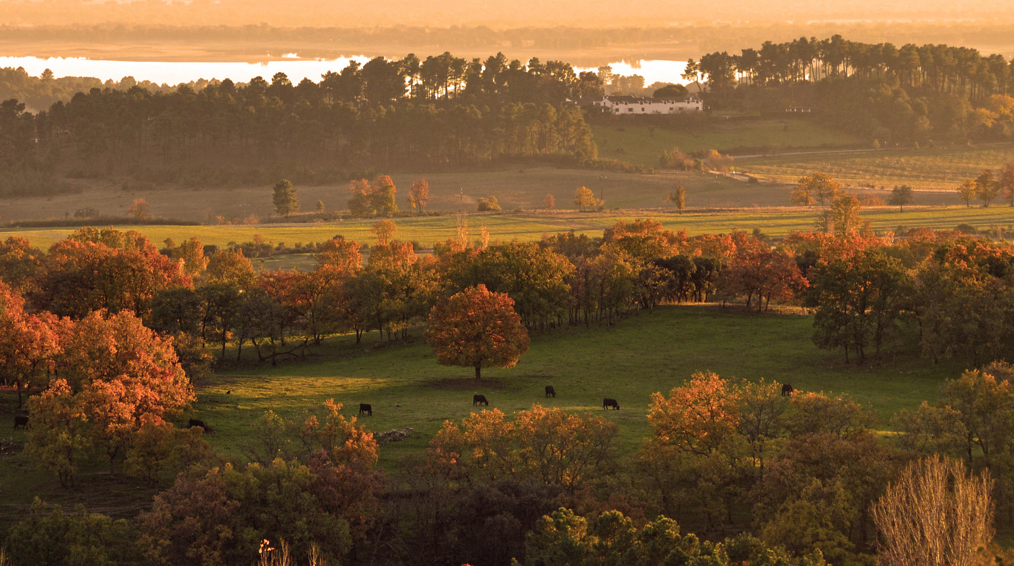 Atardecer en el valle del Tietar