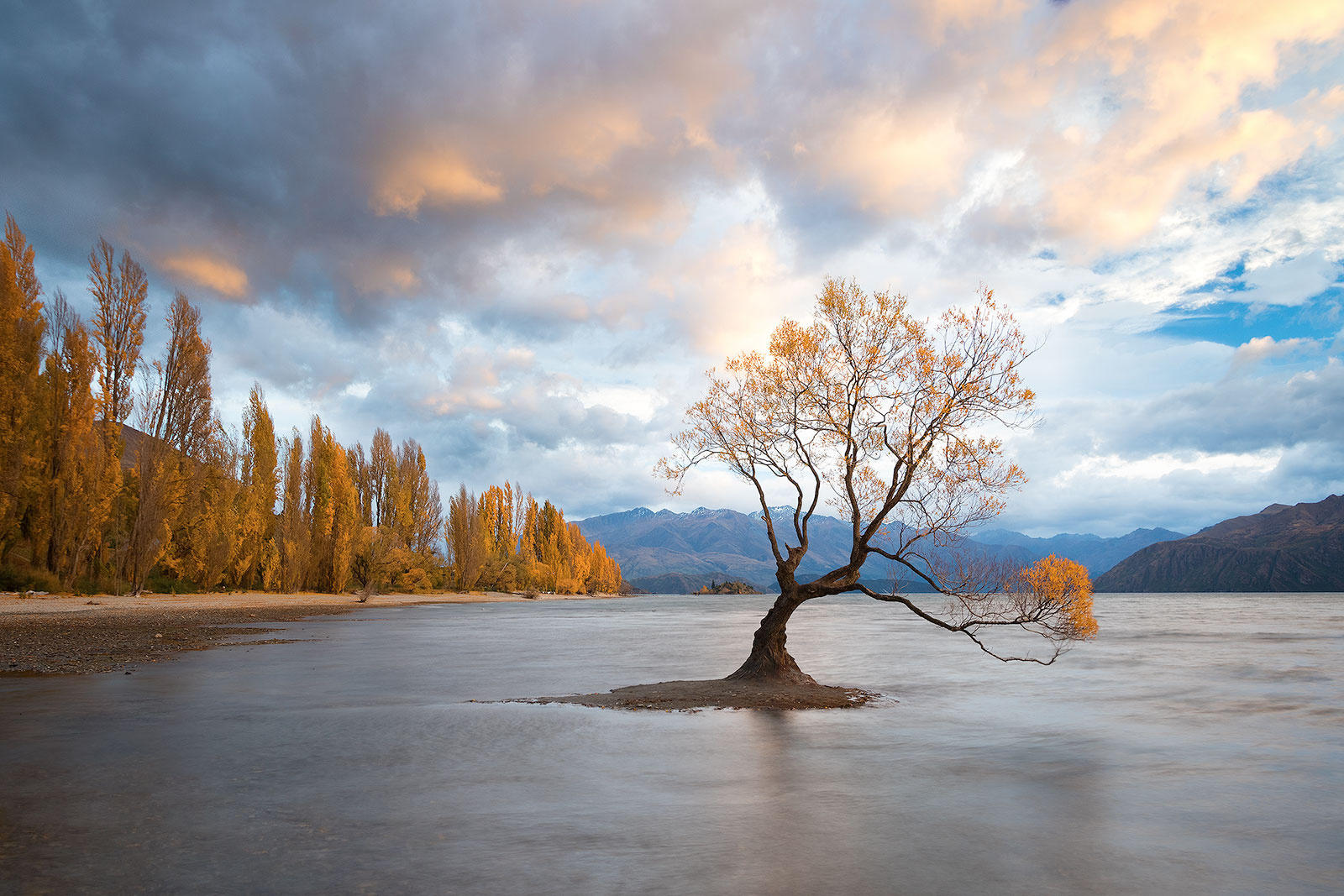 Kiwi Sunrise