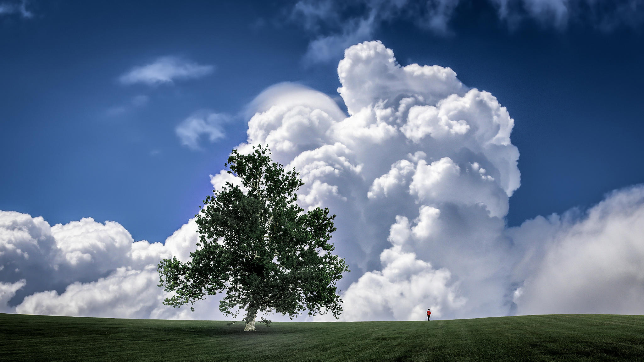 Clouds Ascending