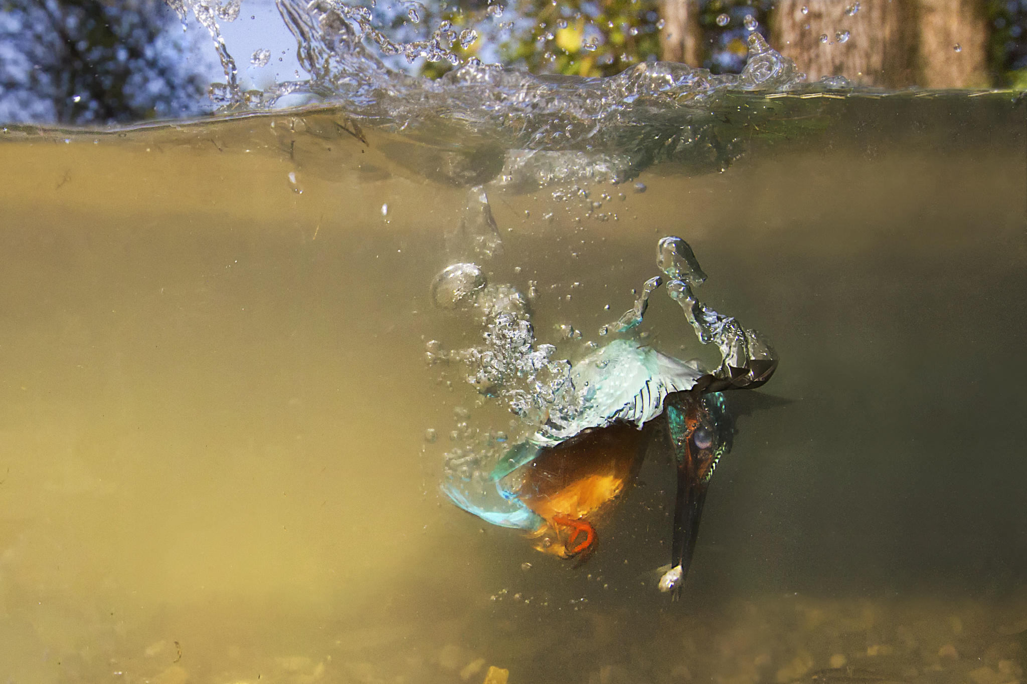 A phantom underwater