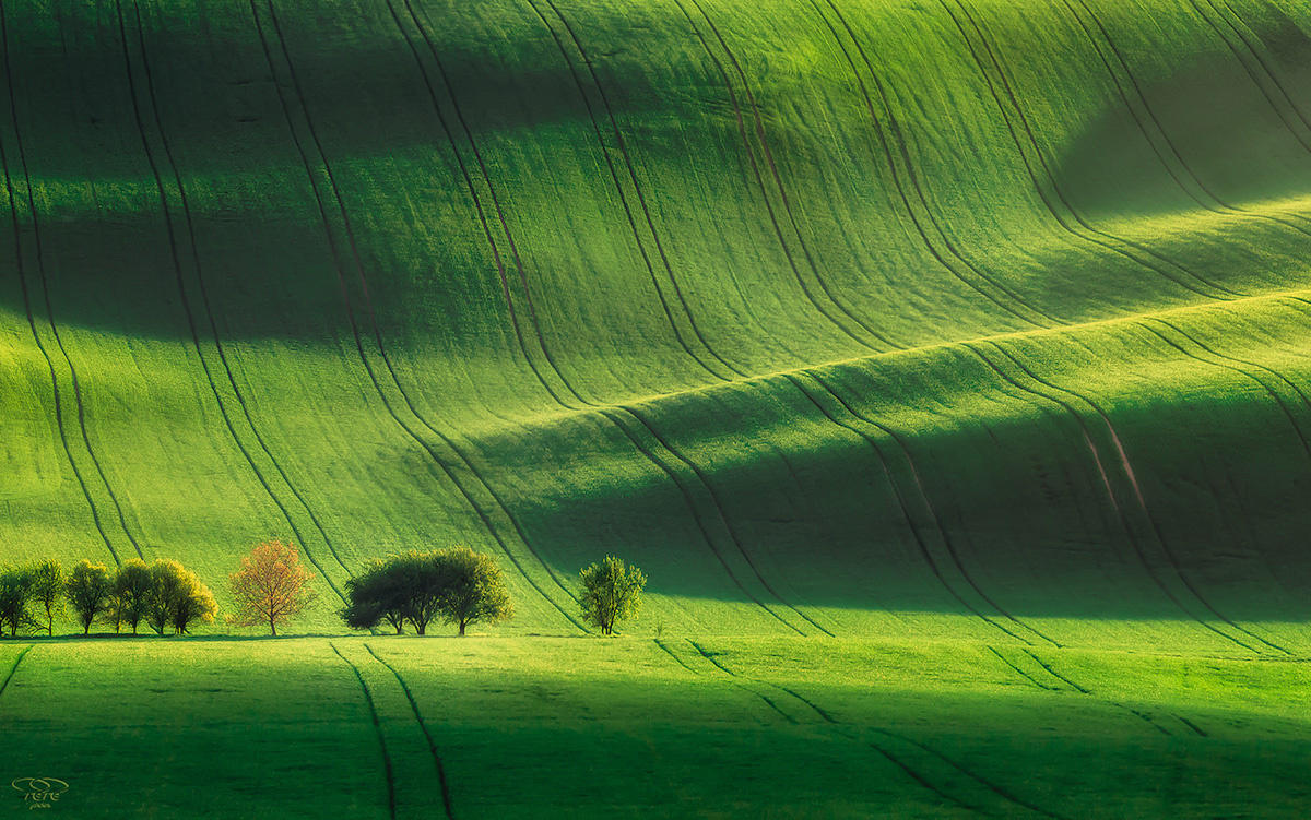 Moravian Fields