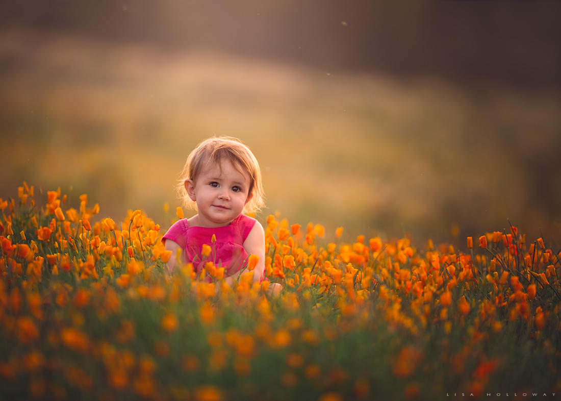 Sea of Poppies