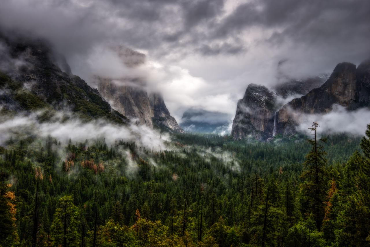 Valley in the Clouds