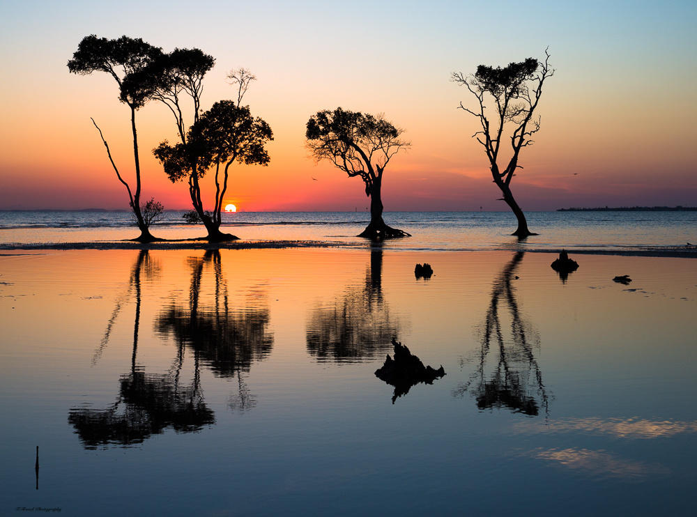 Sunrise in Queensland