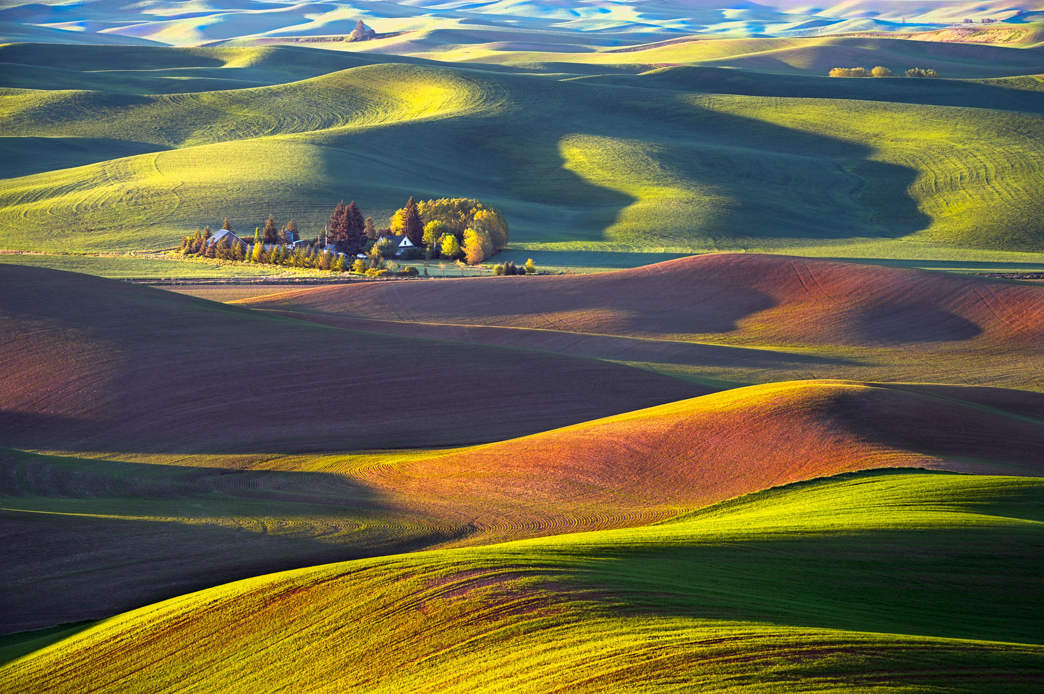 Palouse Plantation