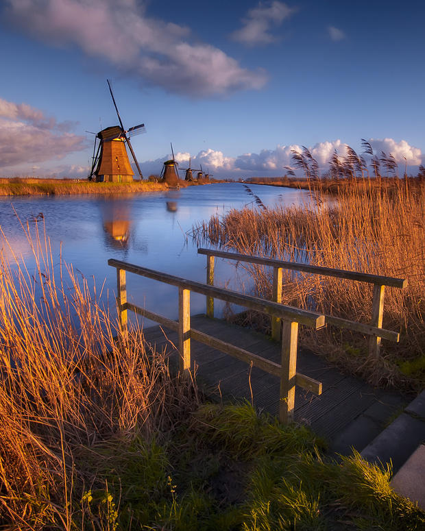 Dutch Landscape