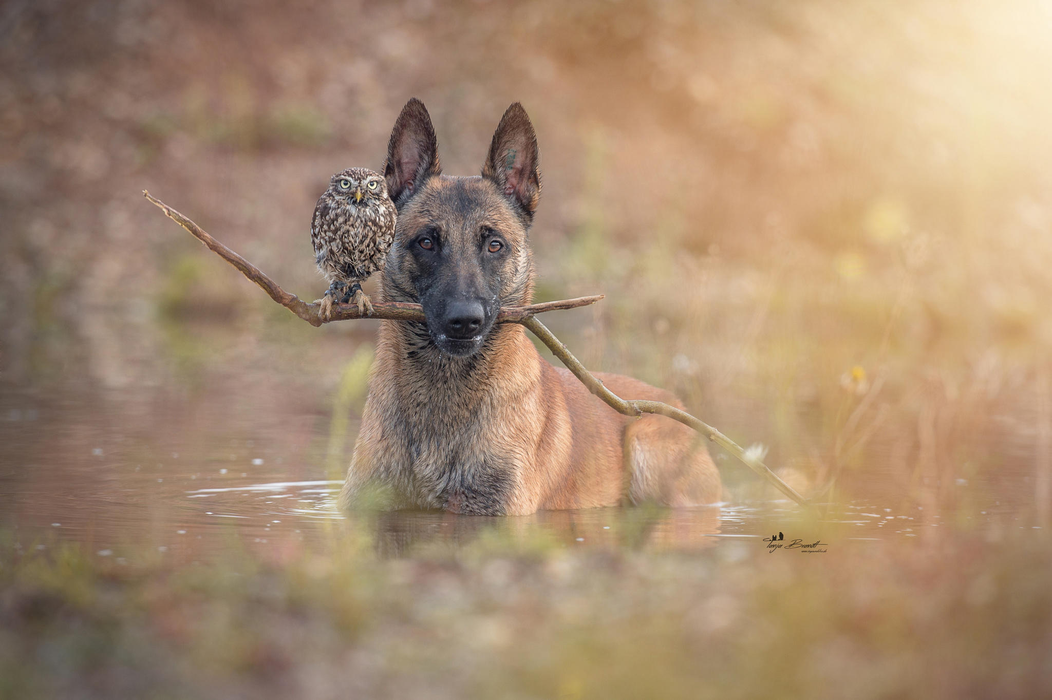 Through water