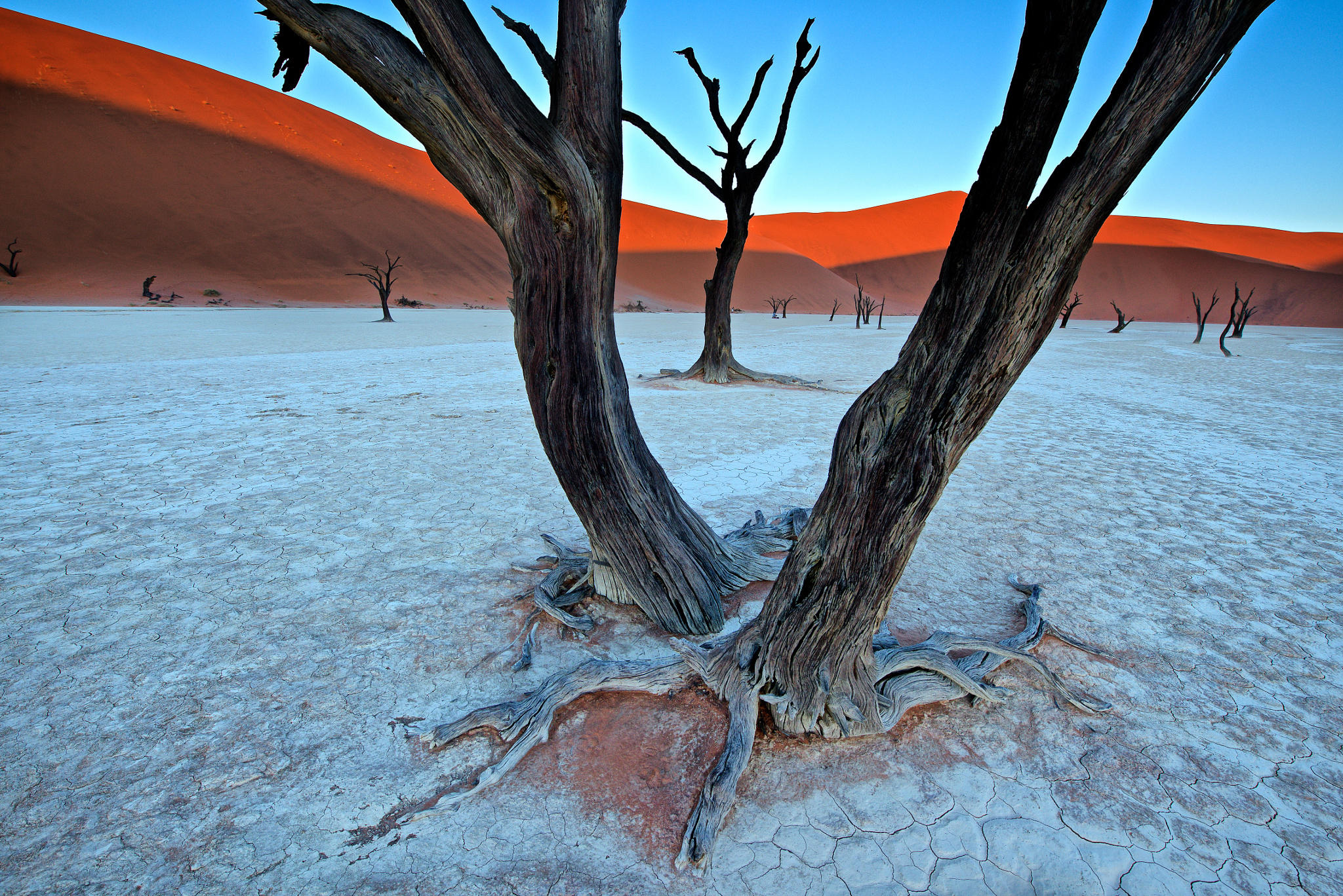 V for vista in Deadvlei