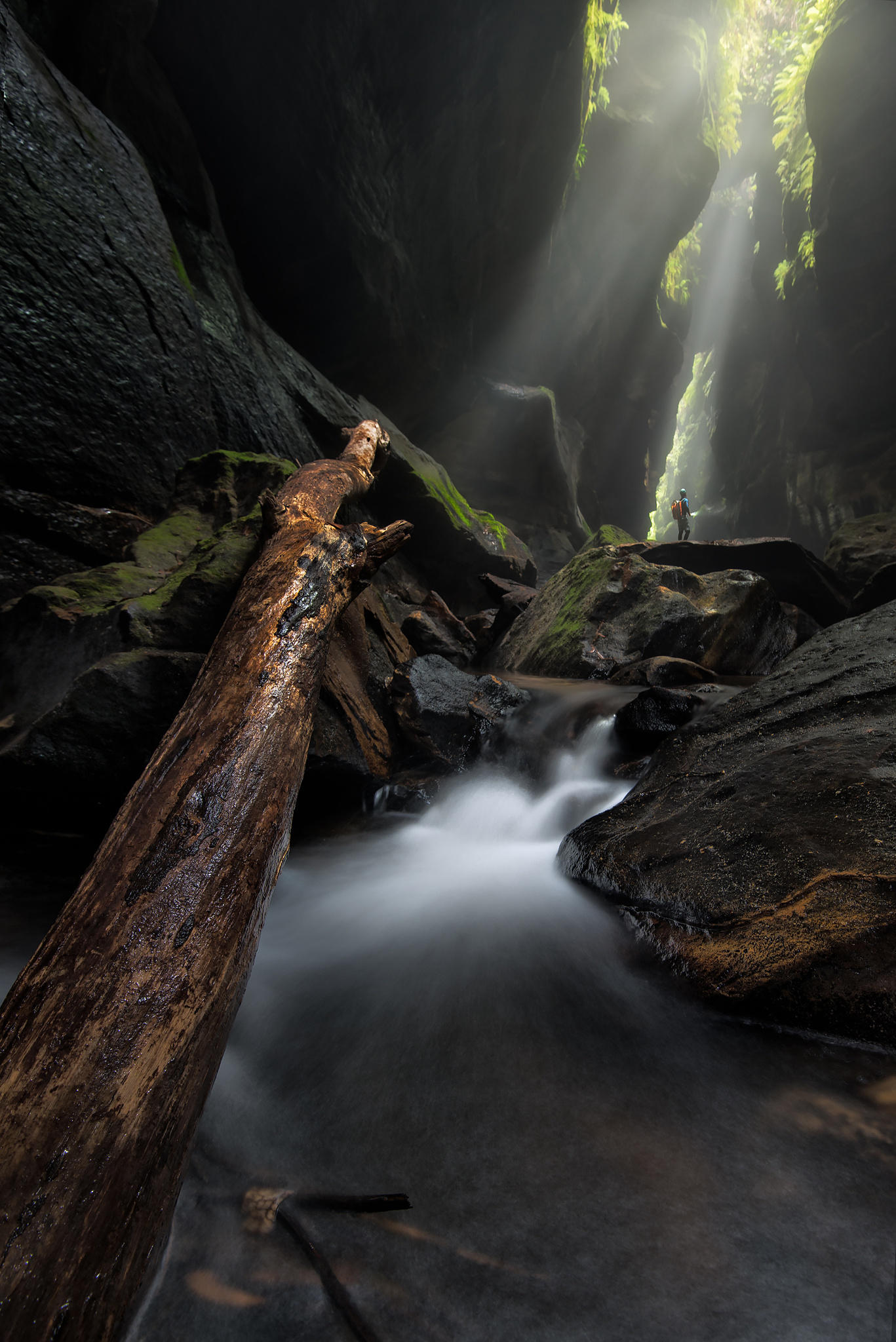 Rocky Creek Canyon