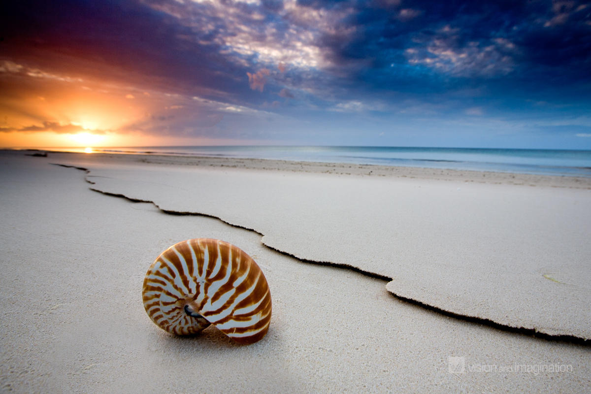 Shelly Beach