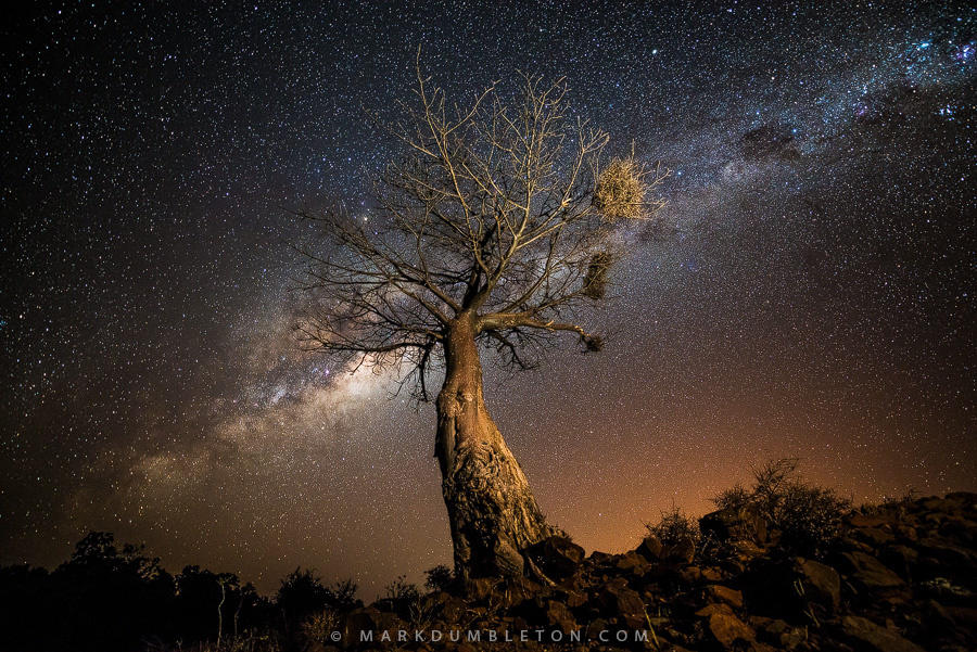 Giant Baobab Under The African Sky