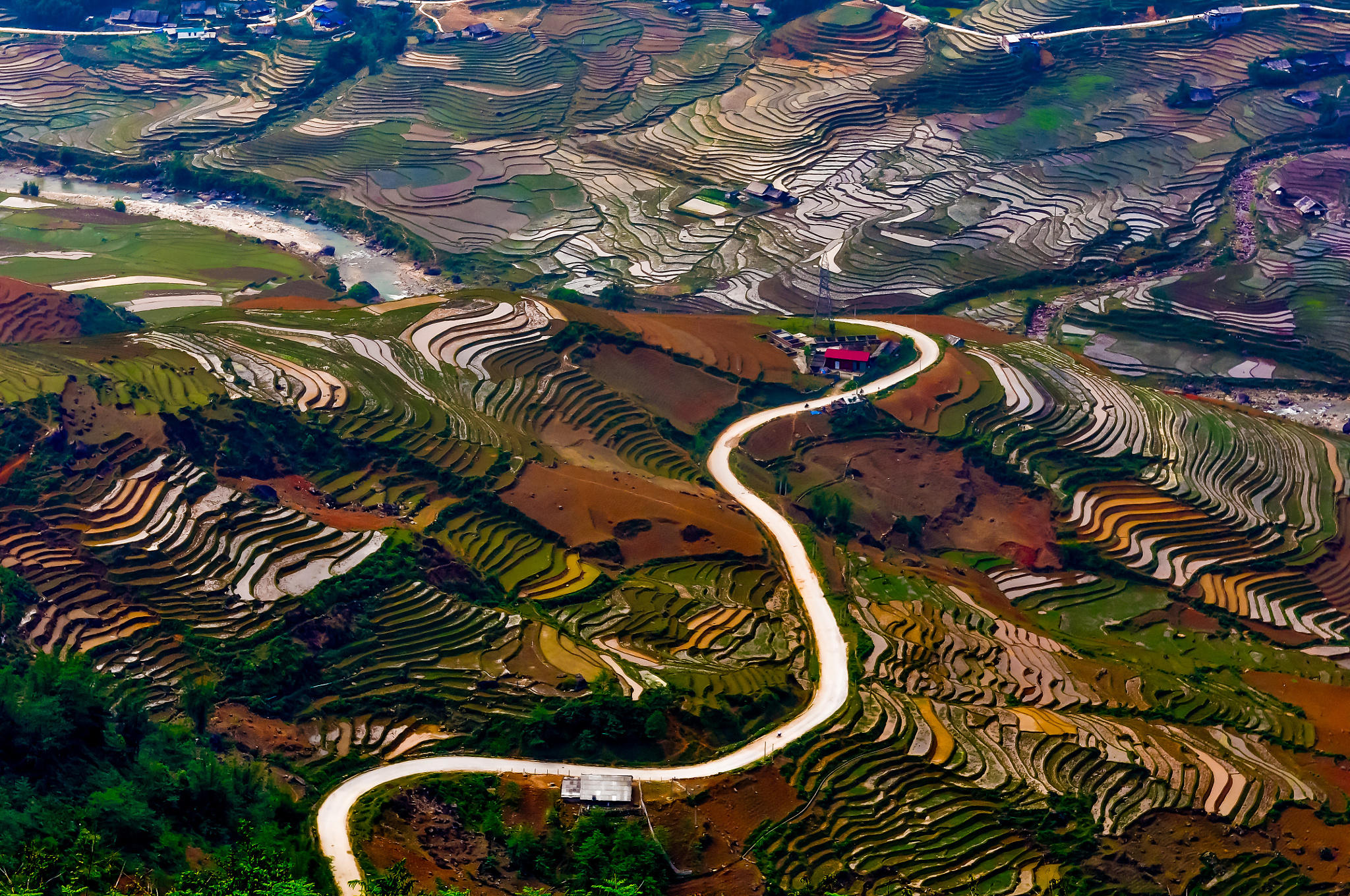 Rice terrace