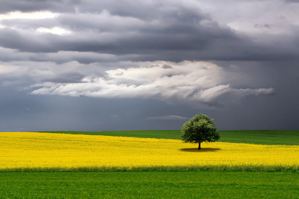 Alone in The Storm