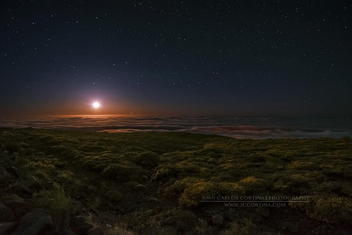 La Palma Moonset