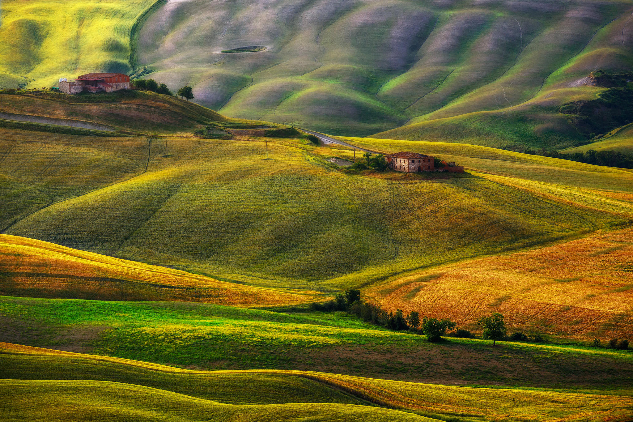 Sotfly tuscany