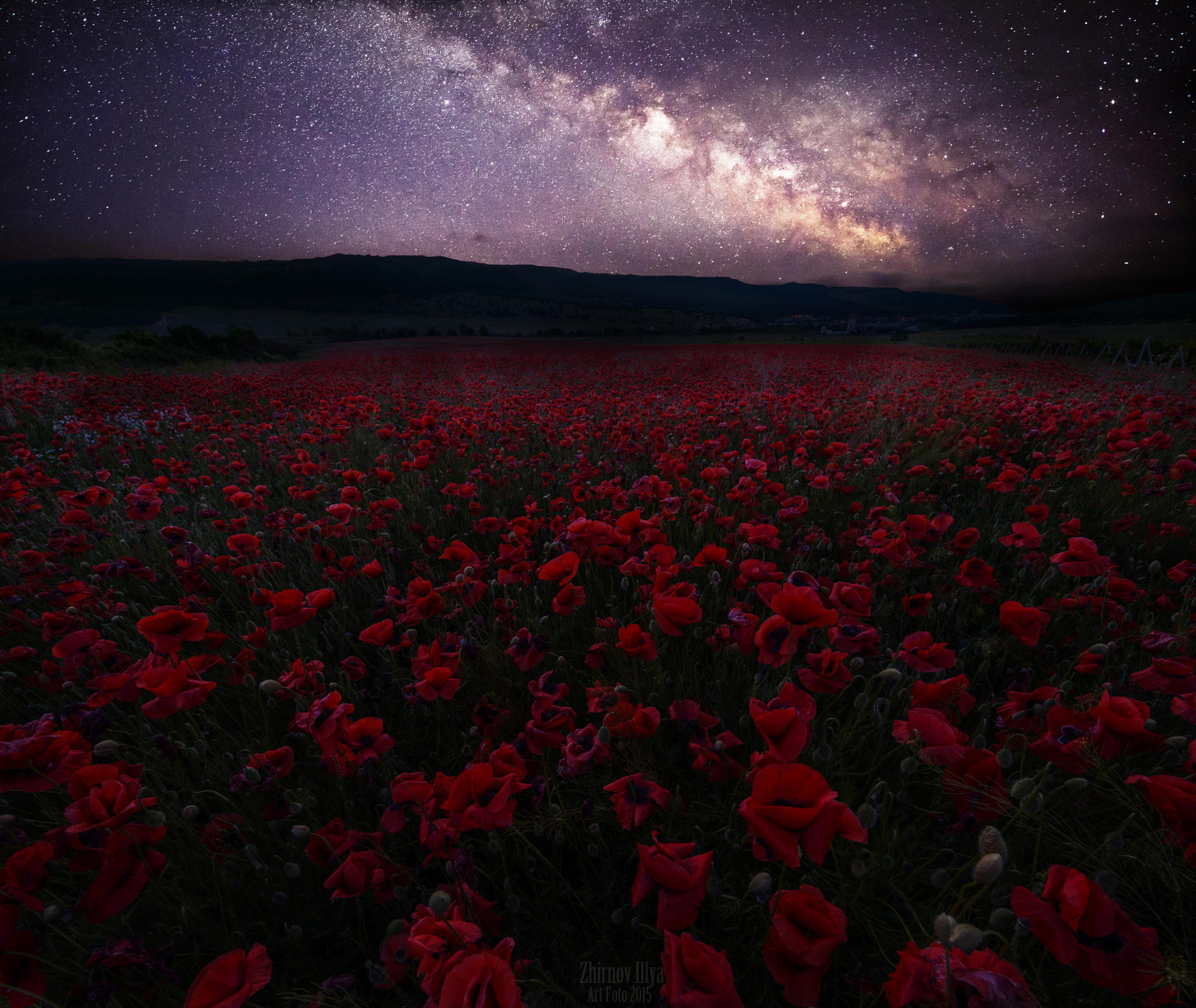 Цветная ночь. Поле цветов. Маковое поле. Маковое поле ночью. Цветы ночью.