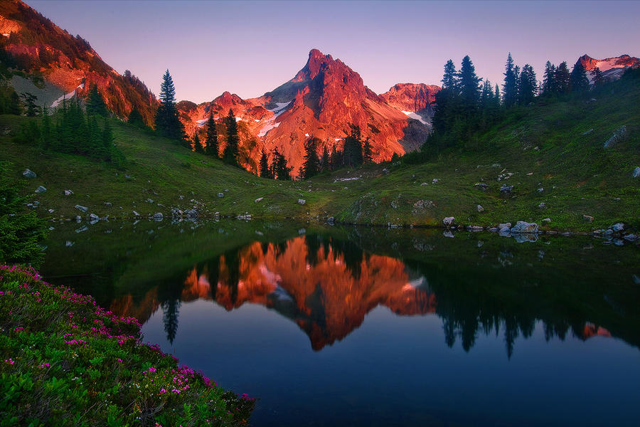 Alpine Tarn