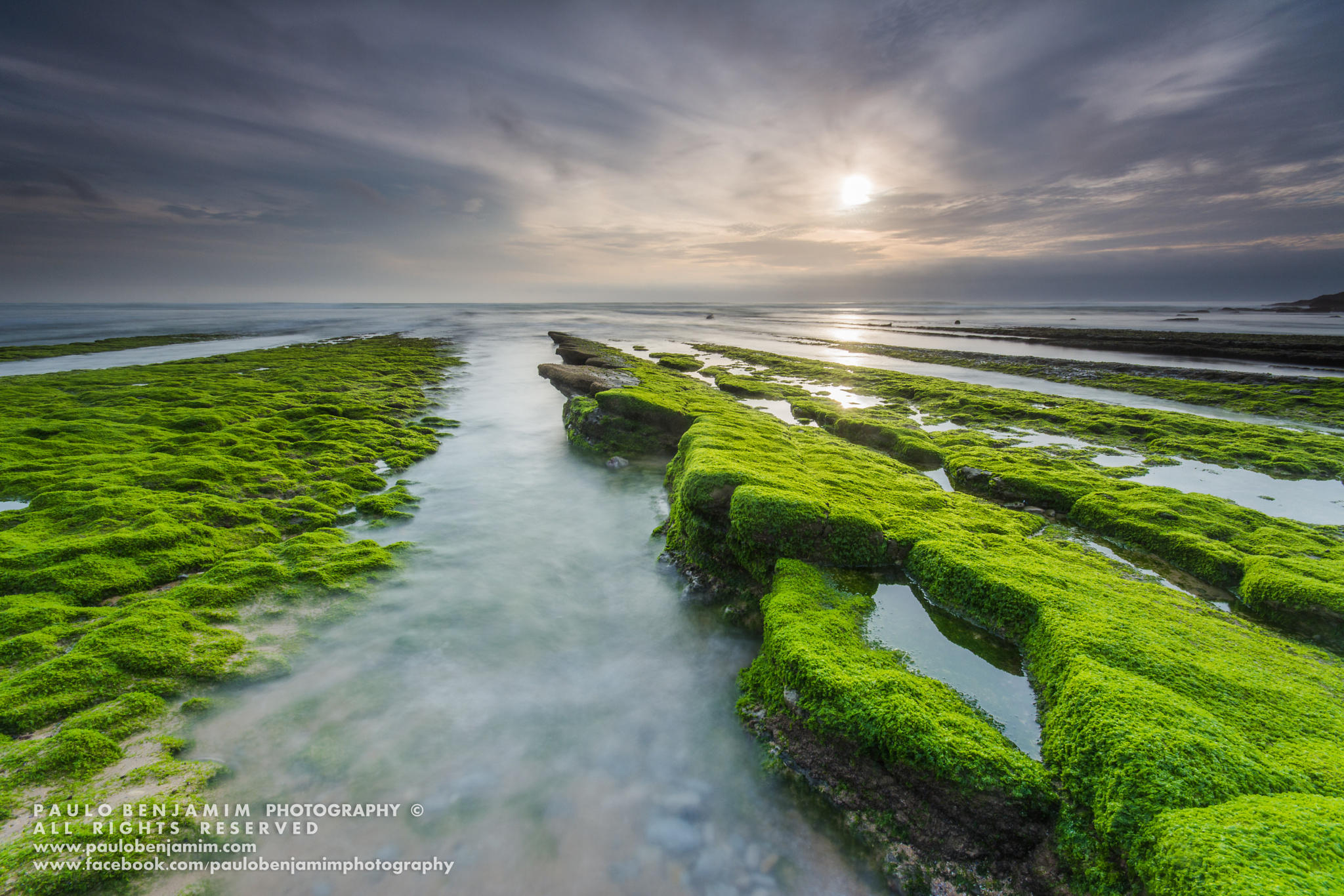 THE GREEN CARPET