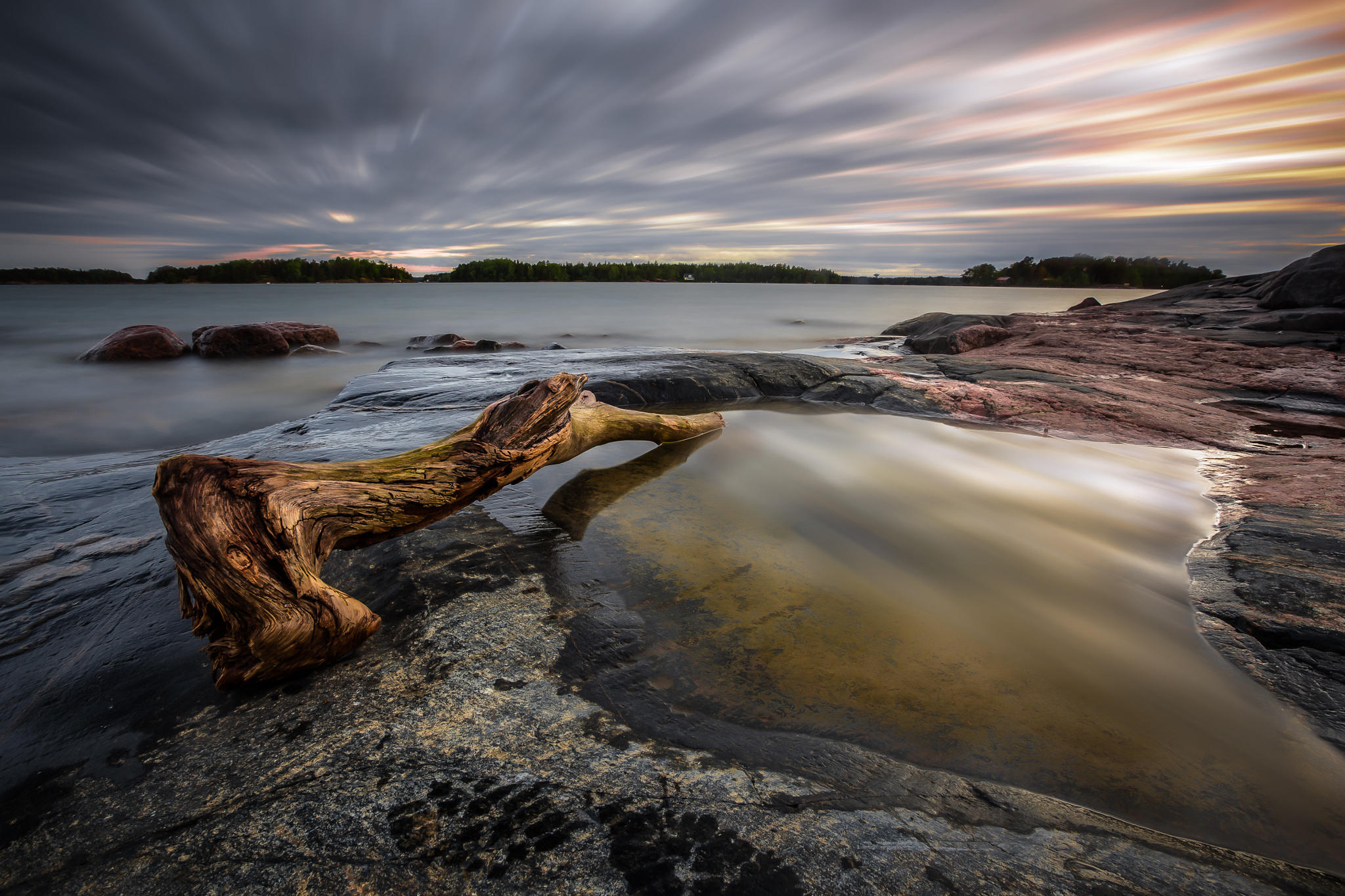 Lonely Driftwood