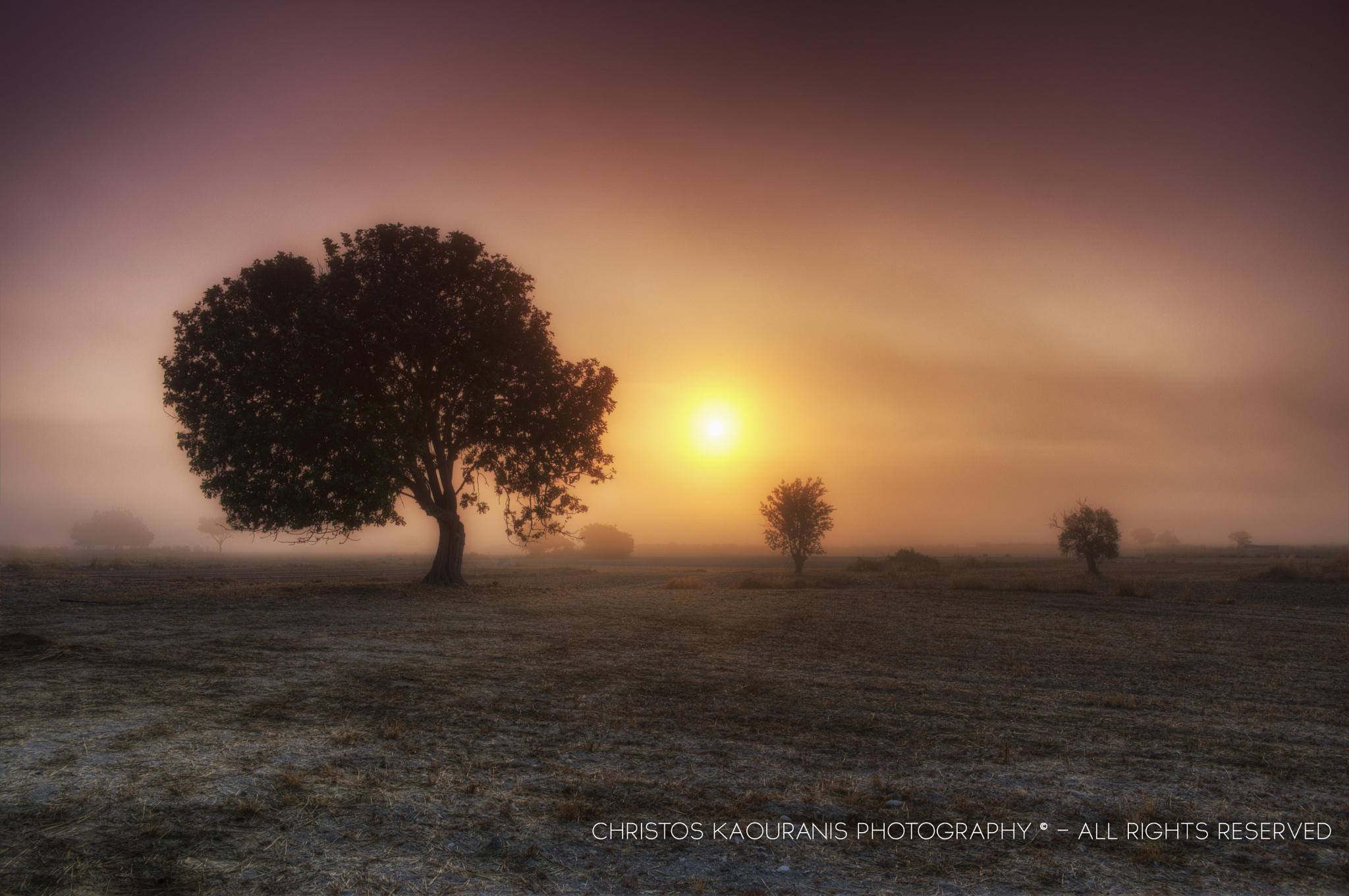 Morning mist magic!