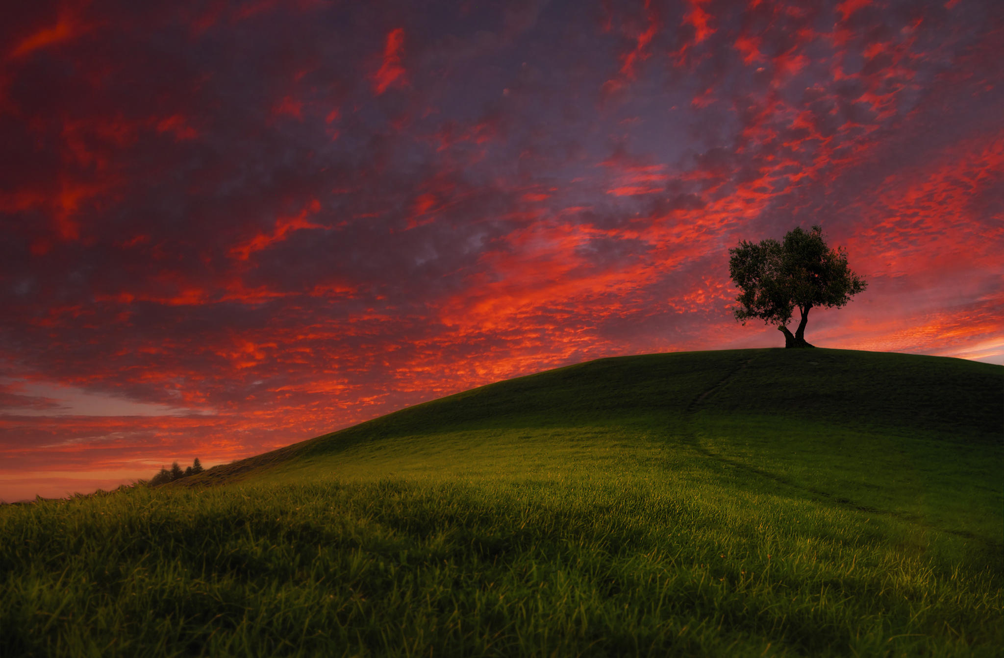 Under a Blood Red Sky