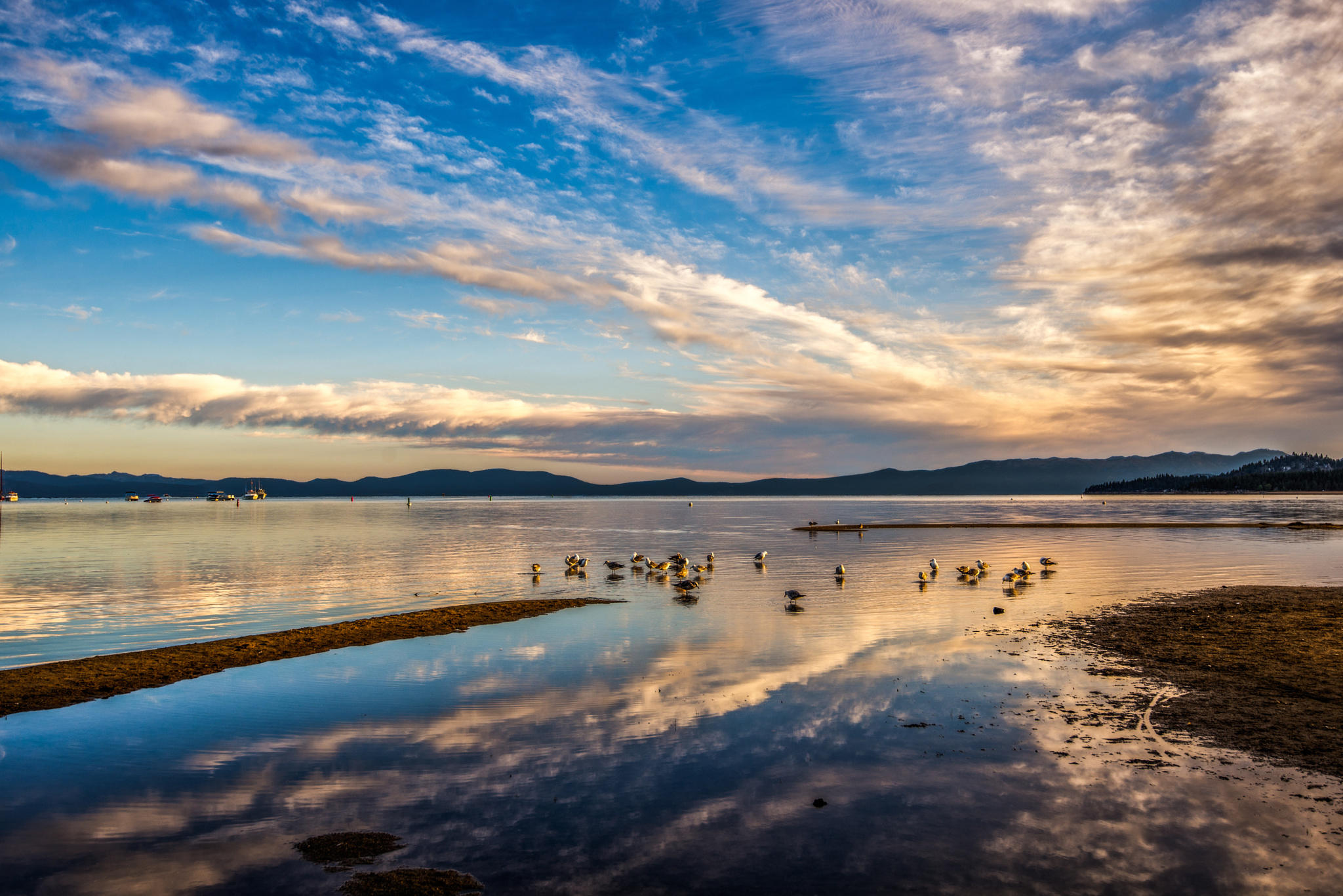 Lake Tahoe Reflections