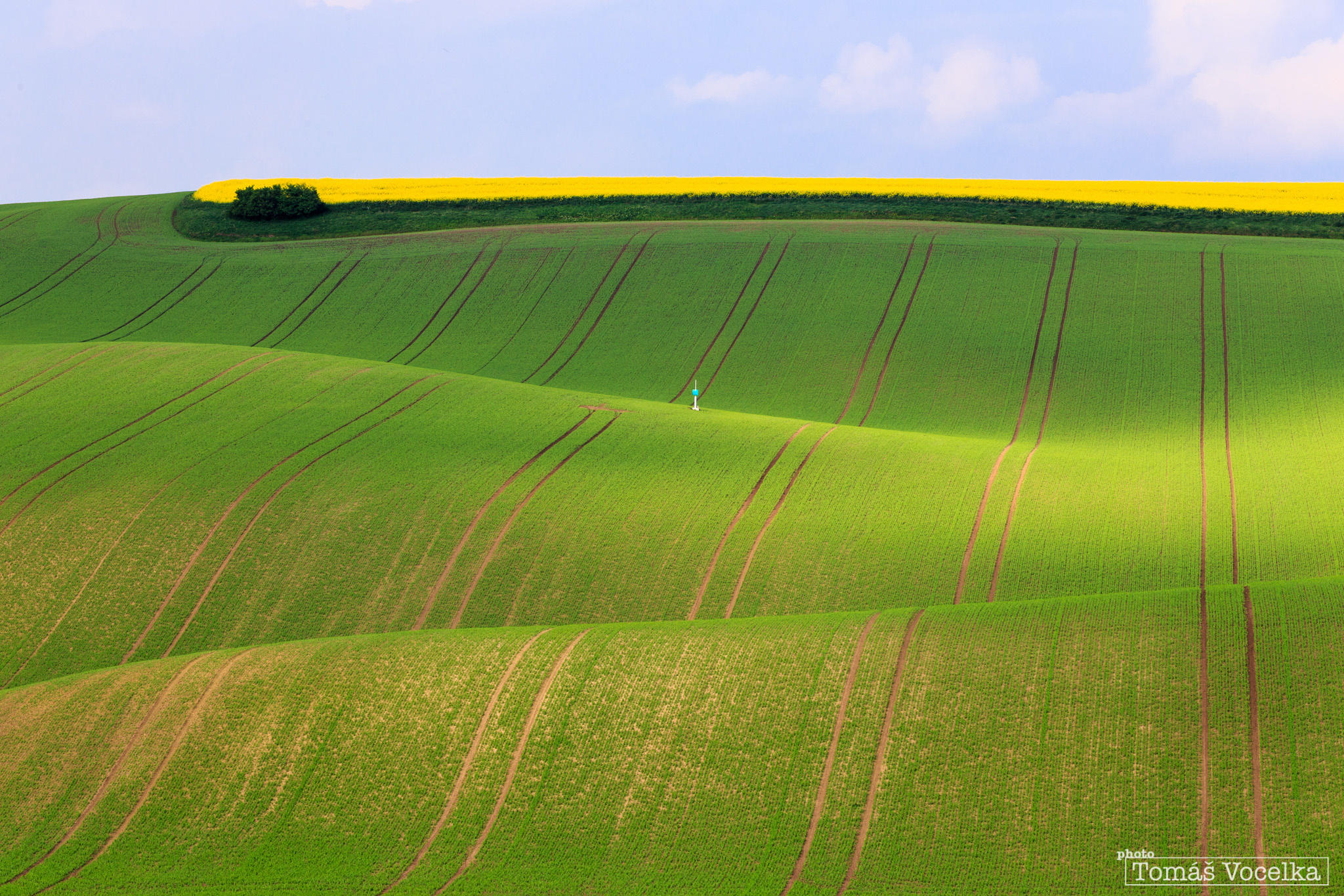 Green waves