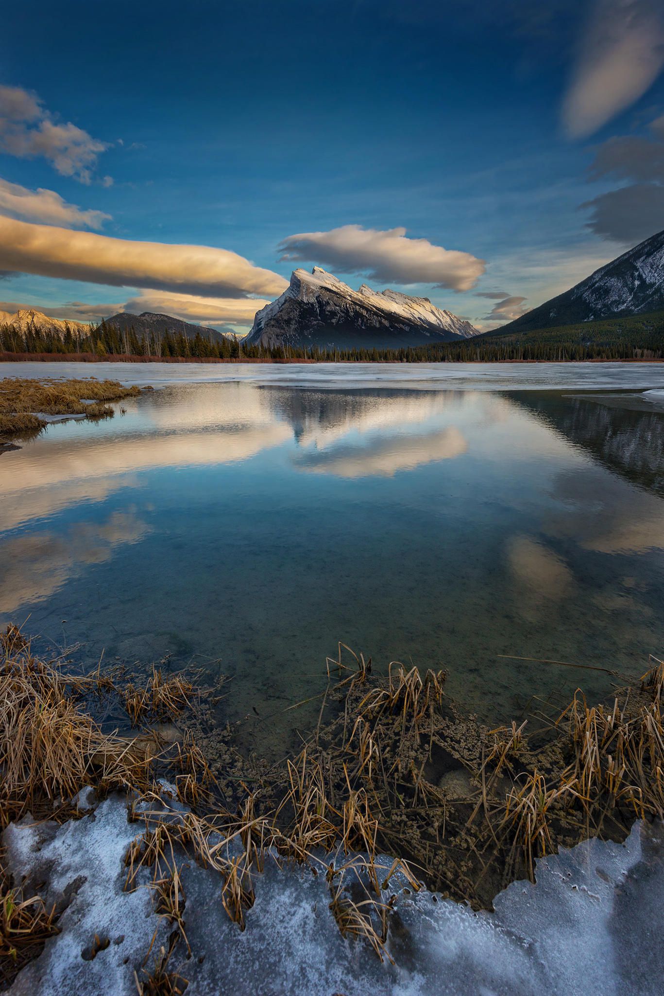 Vermillion Lakes vertical