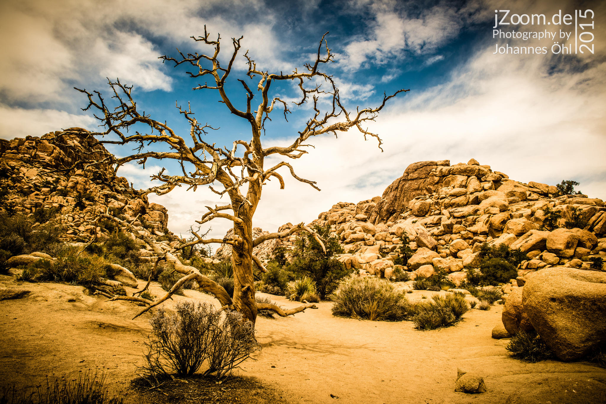 Dead Tree